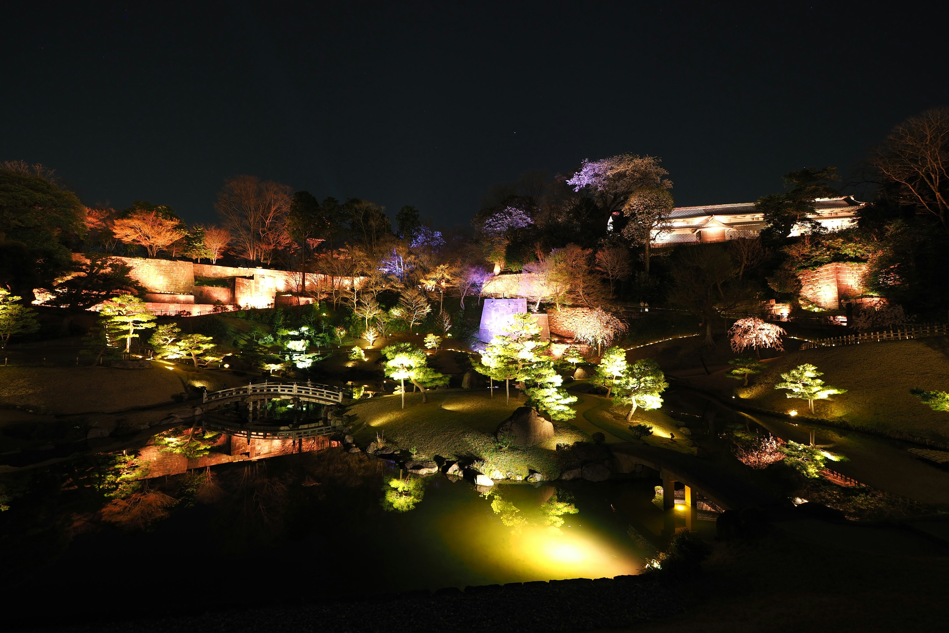 夜の庭園の美しい景色、ライトアップされた木々と池が反射する