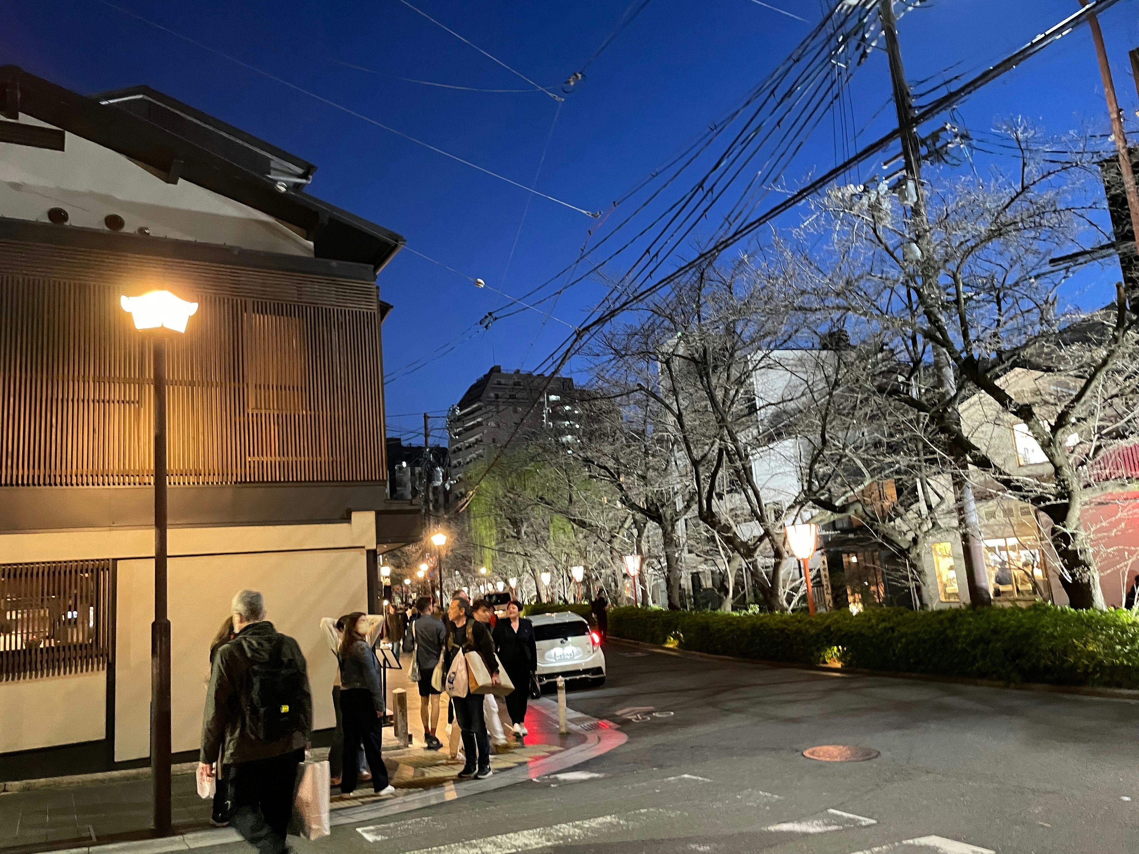 Pemandangan jalan malam dengan pohon sakura di Jepang