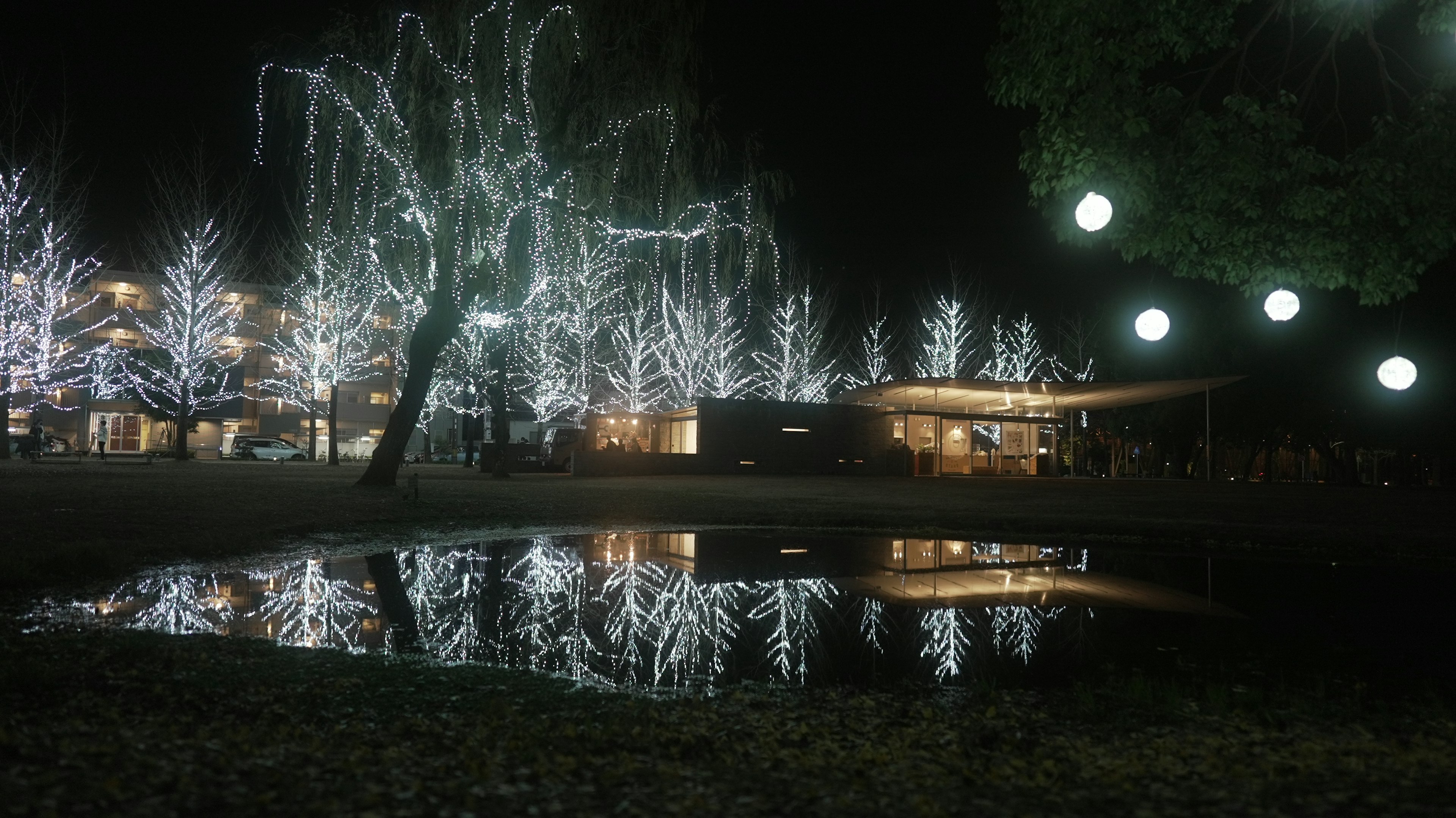 夜の公園に点灯したイルミネーションの木々と池の反射