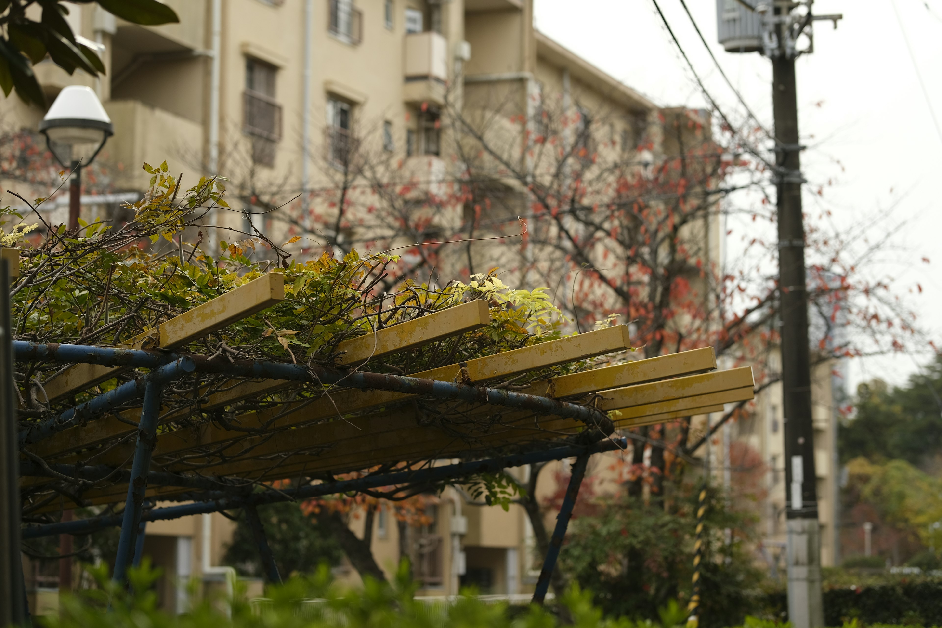 Banc de parc avec une structure en bois et des bâtiments en arrière-plan