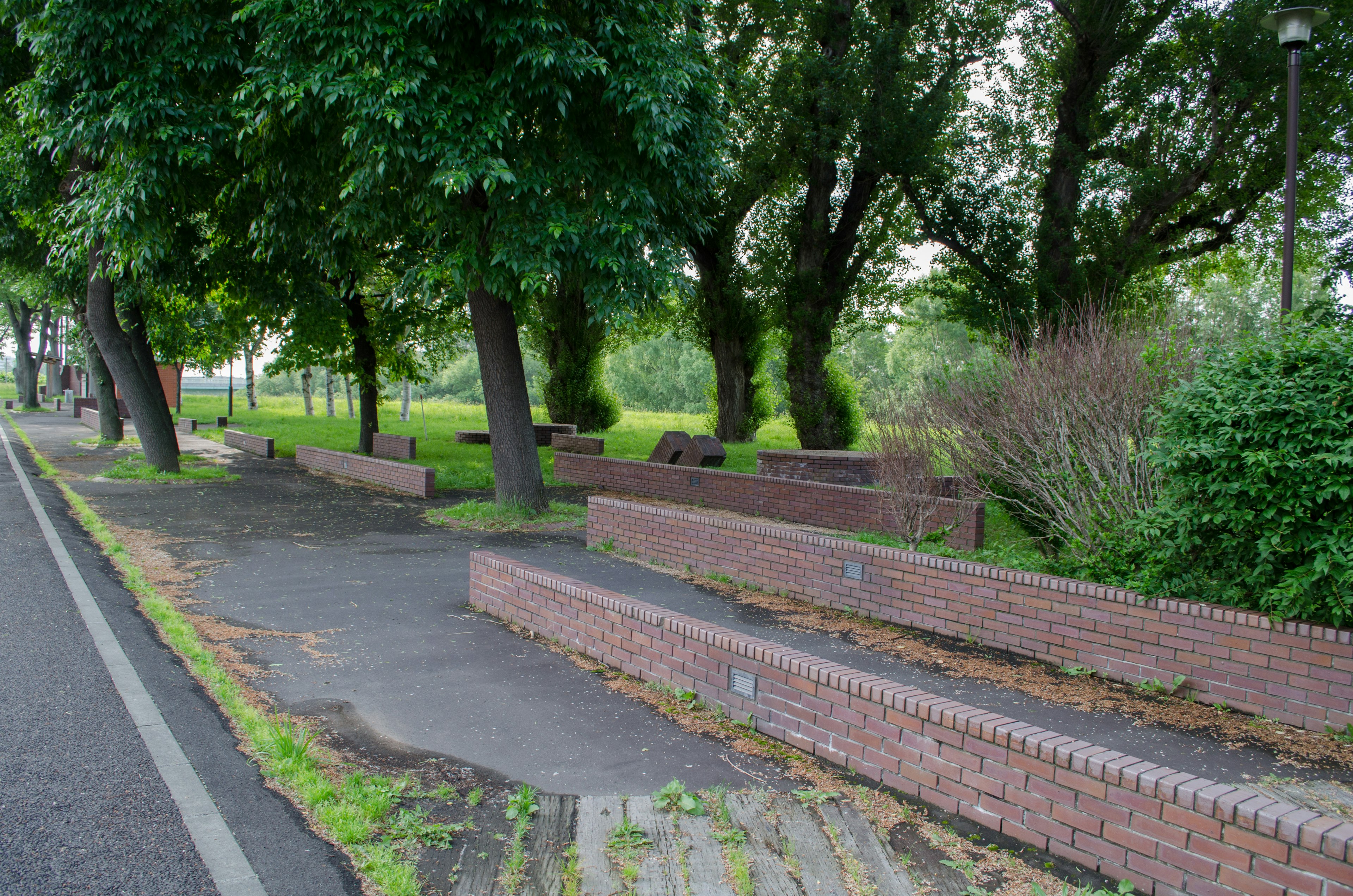 Brick benches along a tree-lined park pathway