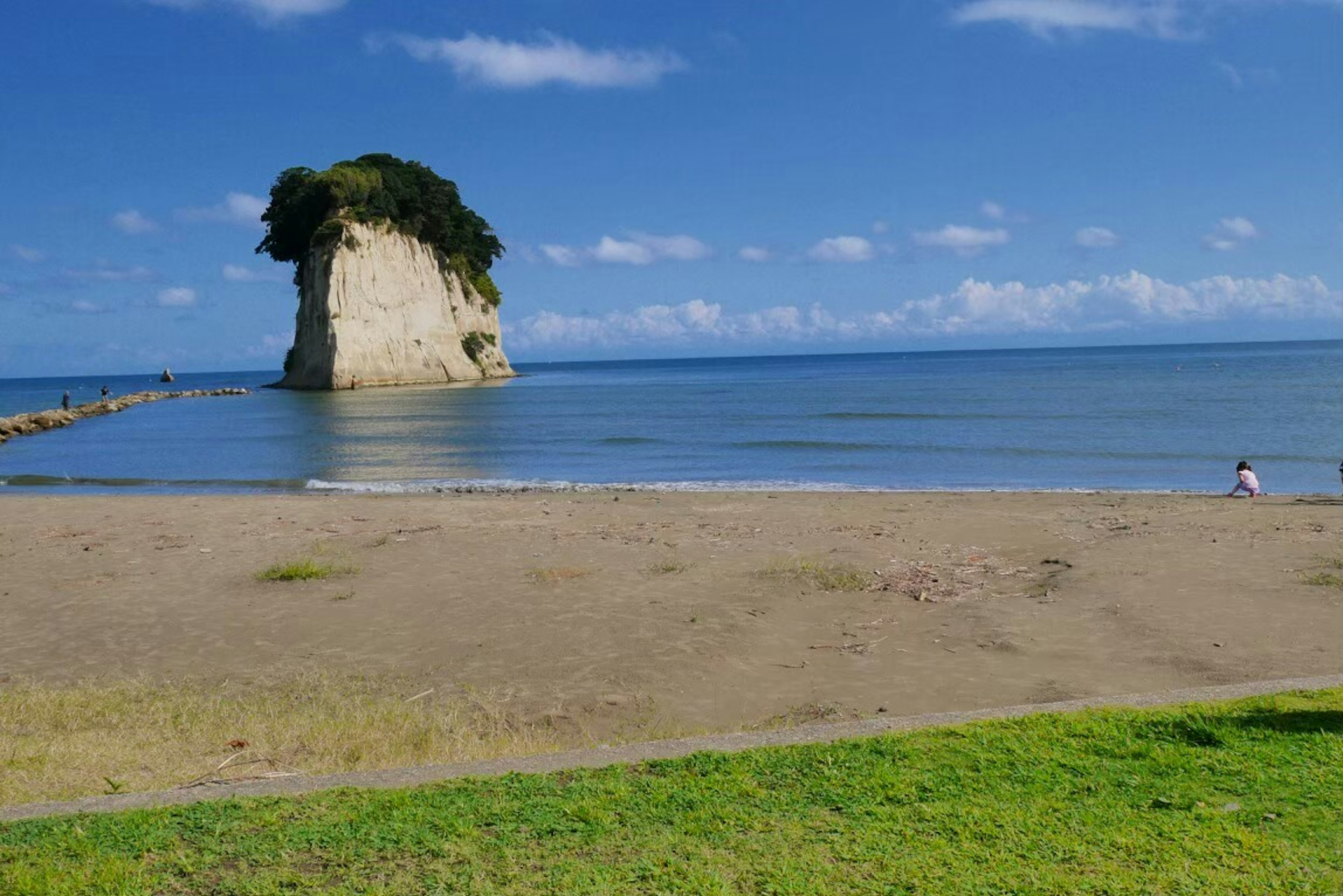 Scenic view of a sandy beach with green grass under a clear blue sky featuring a large rock with trees