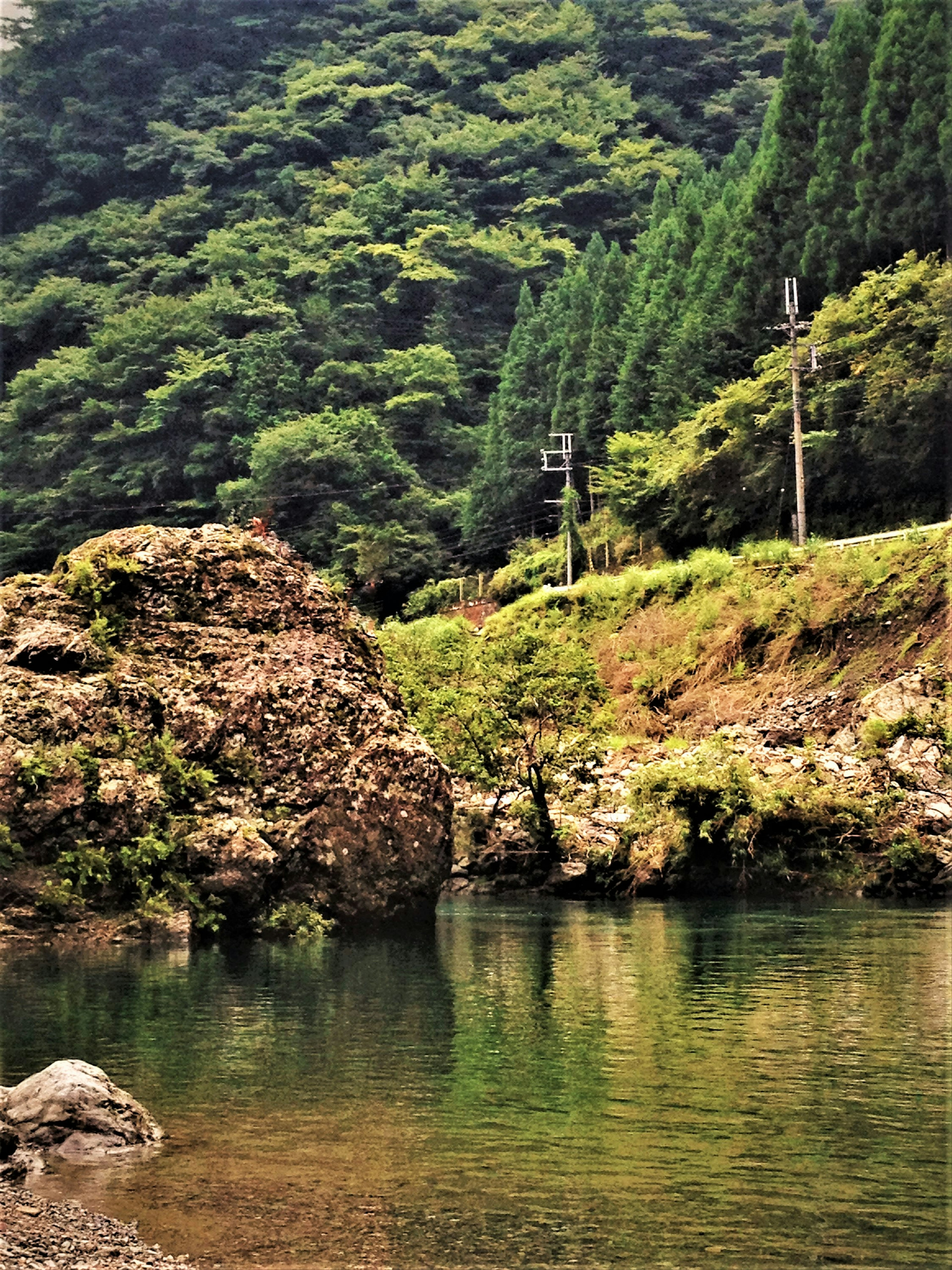 緑豊かな山々と水面に映る景色が広がる静かな川の風景