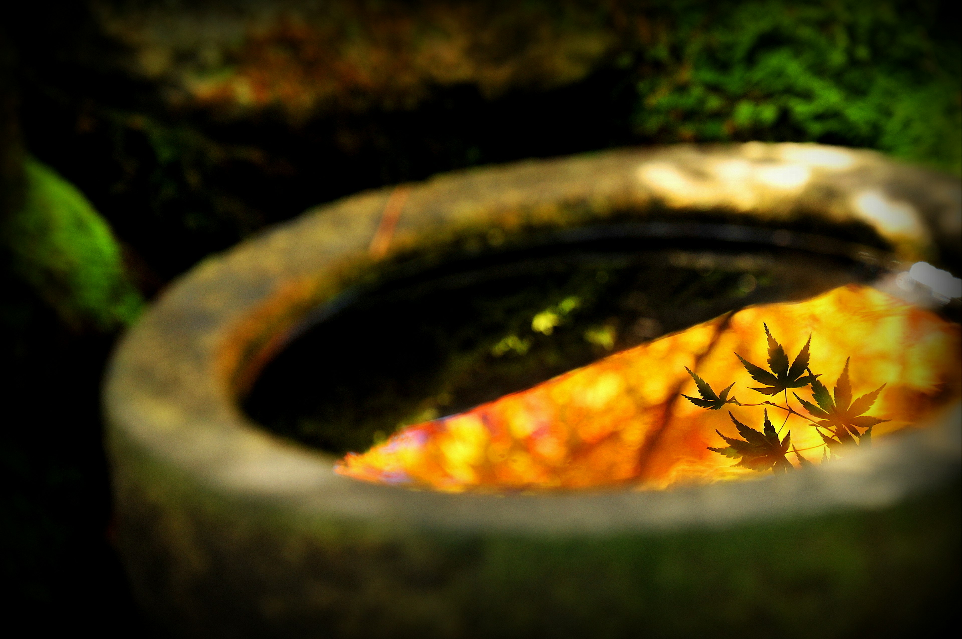 Un recipiente de piedra reflejando hojas de otoño coloridas en el agua