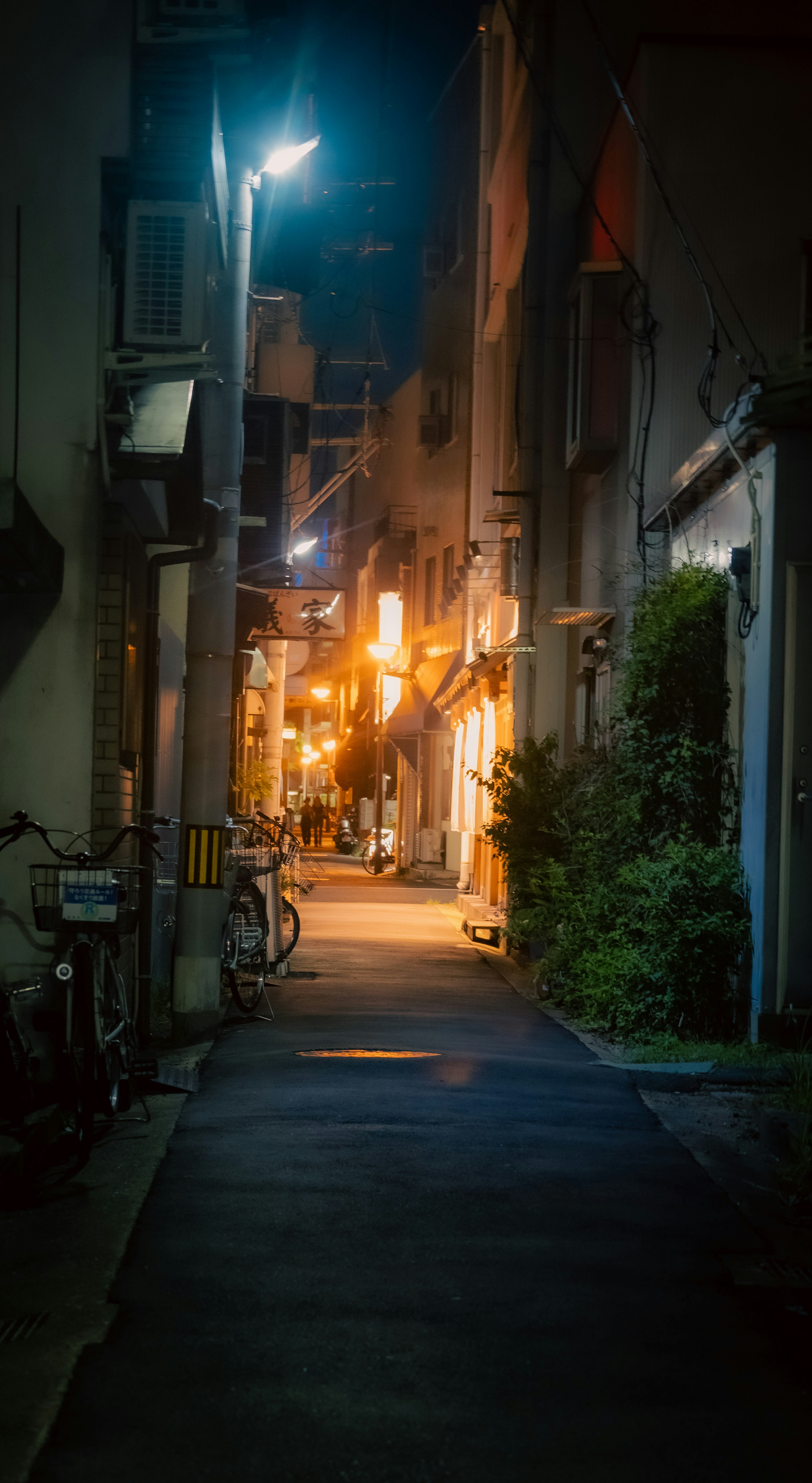 夜の静かな裏通りに並ぶライトと緑の植物