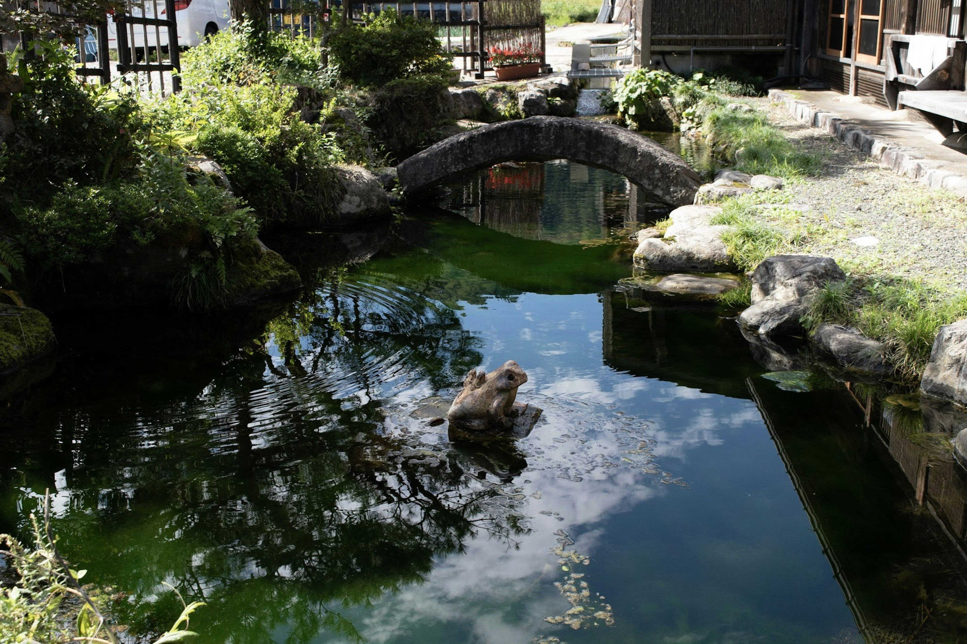 Scène de jardin serein avec un étang et un petit pont en pierre