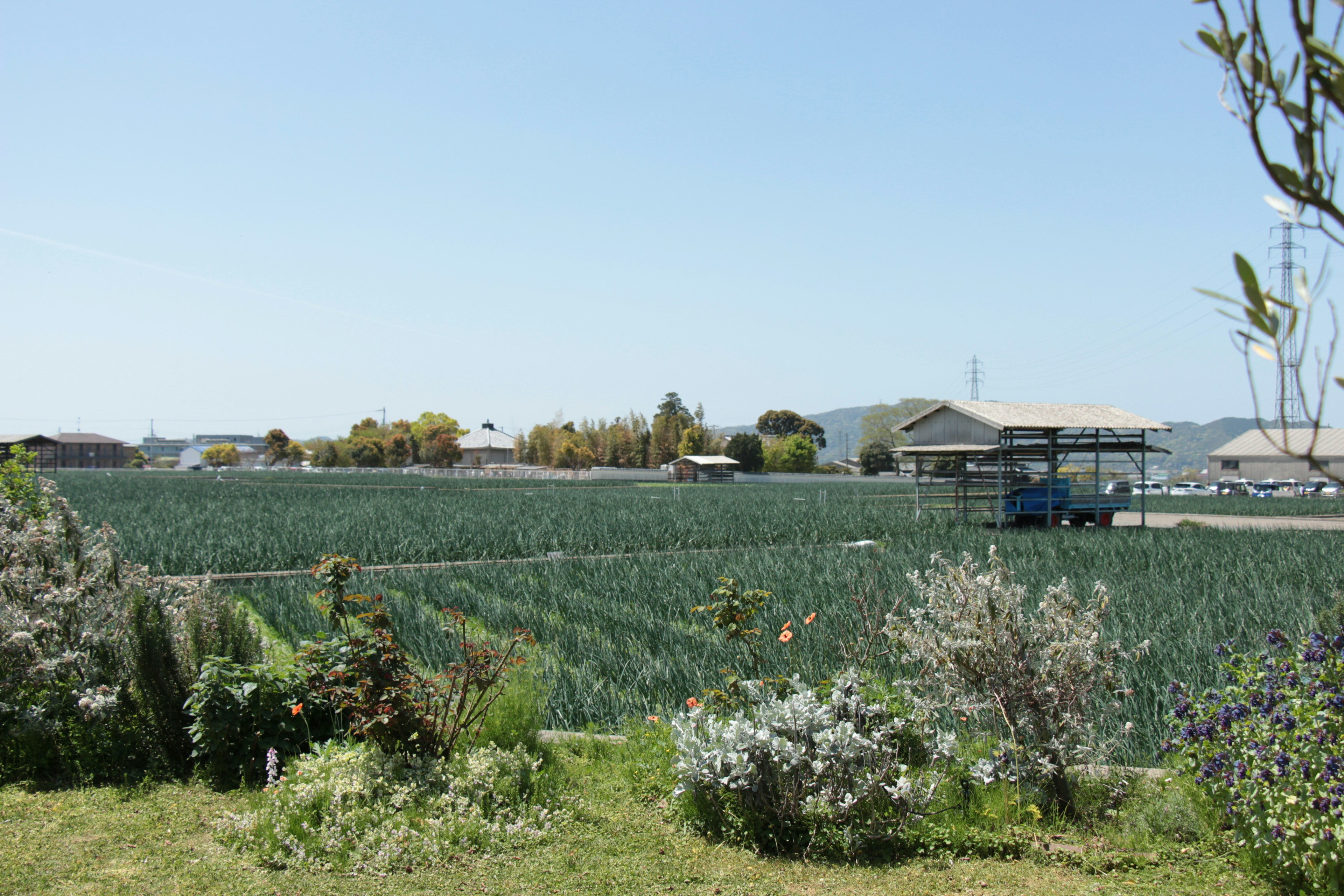 Champ vert expansif sous un ciel bleu avec une ferme