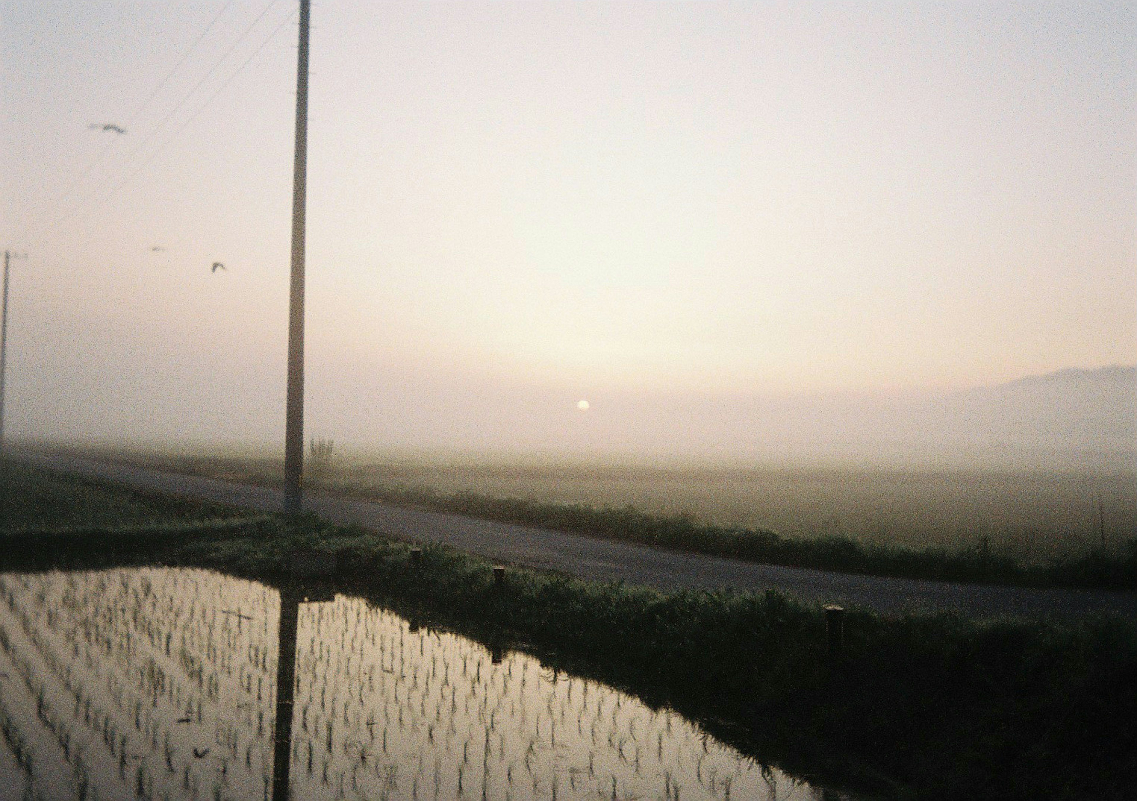 Sunset over misty rice fields and road