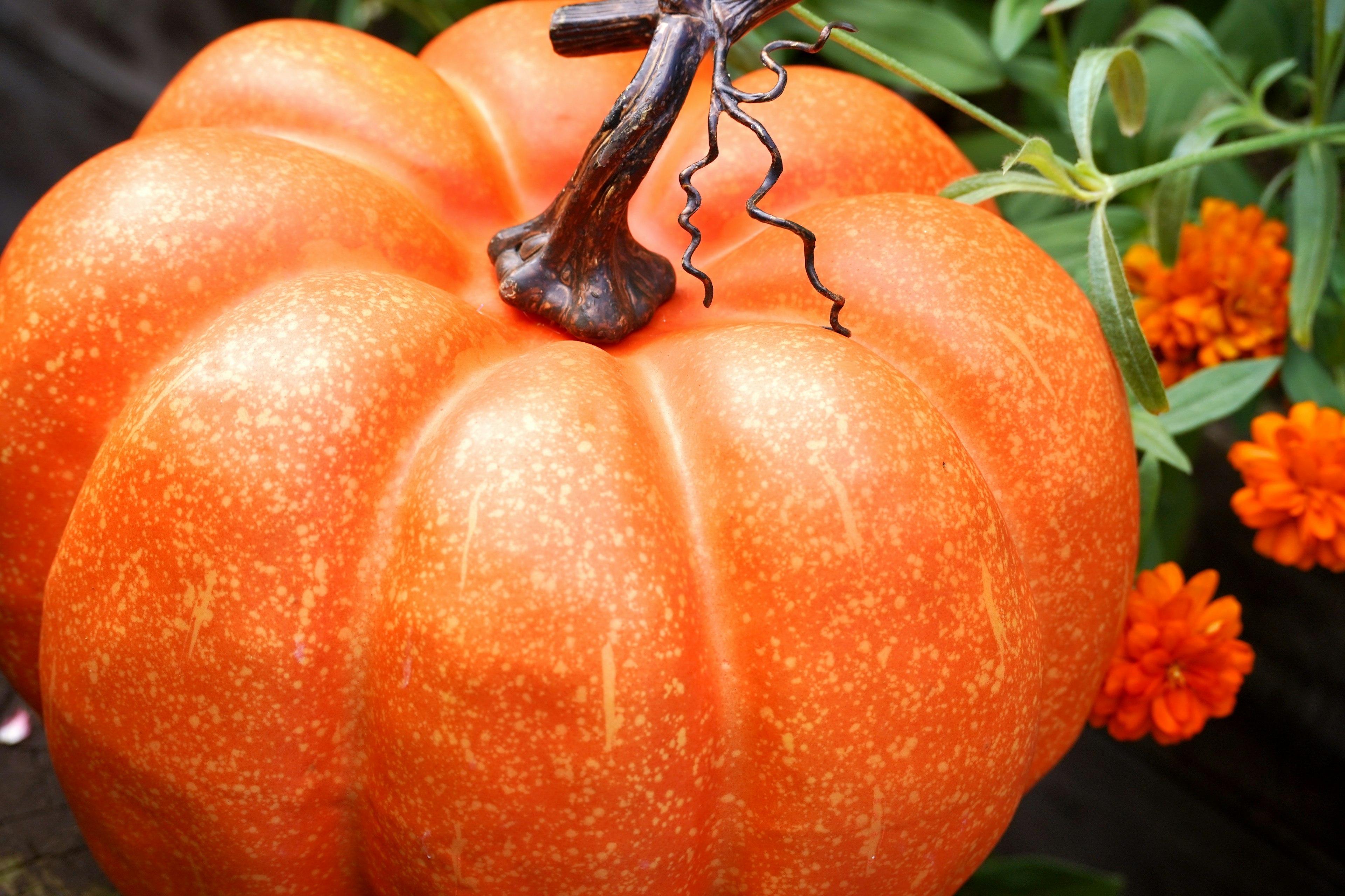 Vibrant orange pumpkin with a brown stem and surrounding flowers