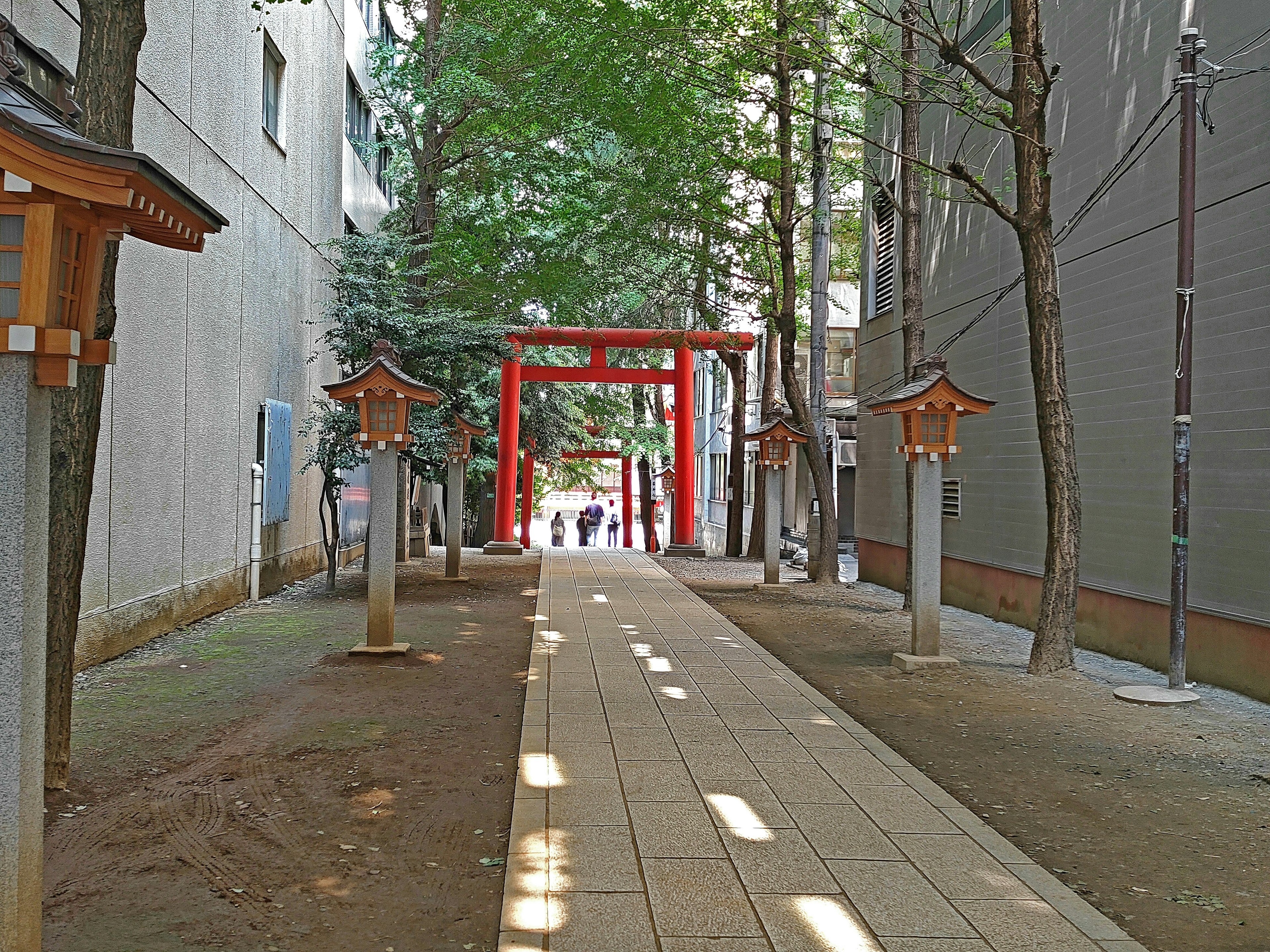 Sendero bordeado de árboles con una puerta torii roja