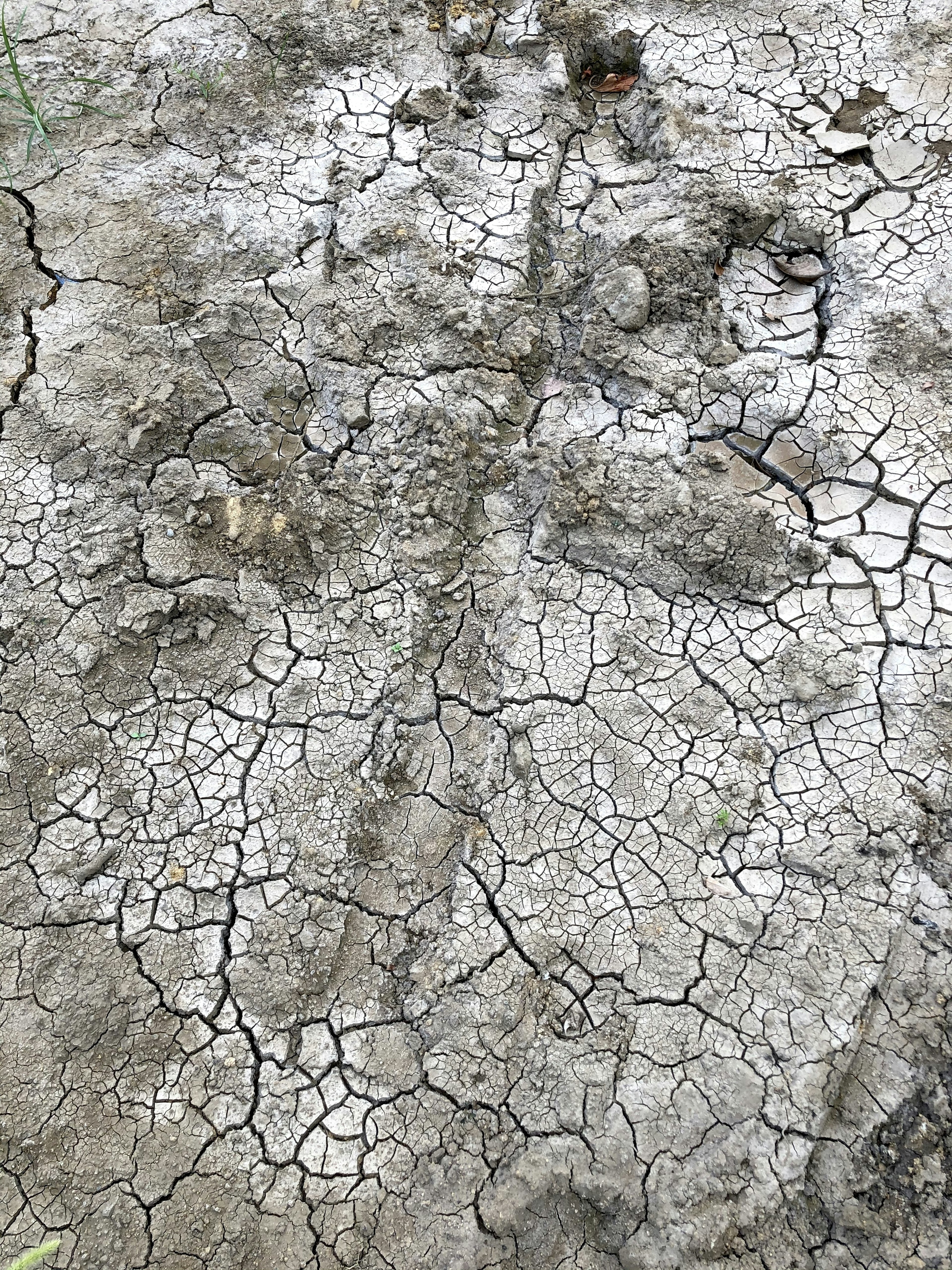 Close-up of cracked ground surface showing dry soil texture