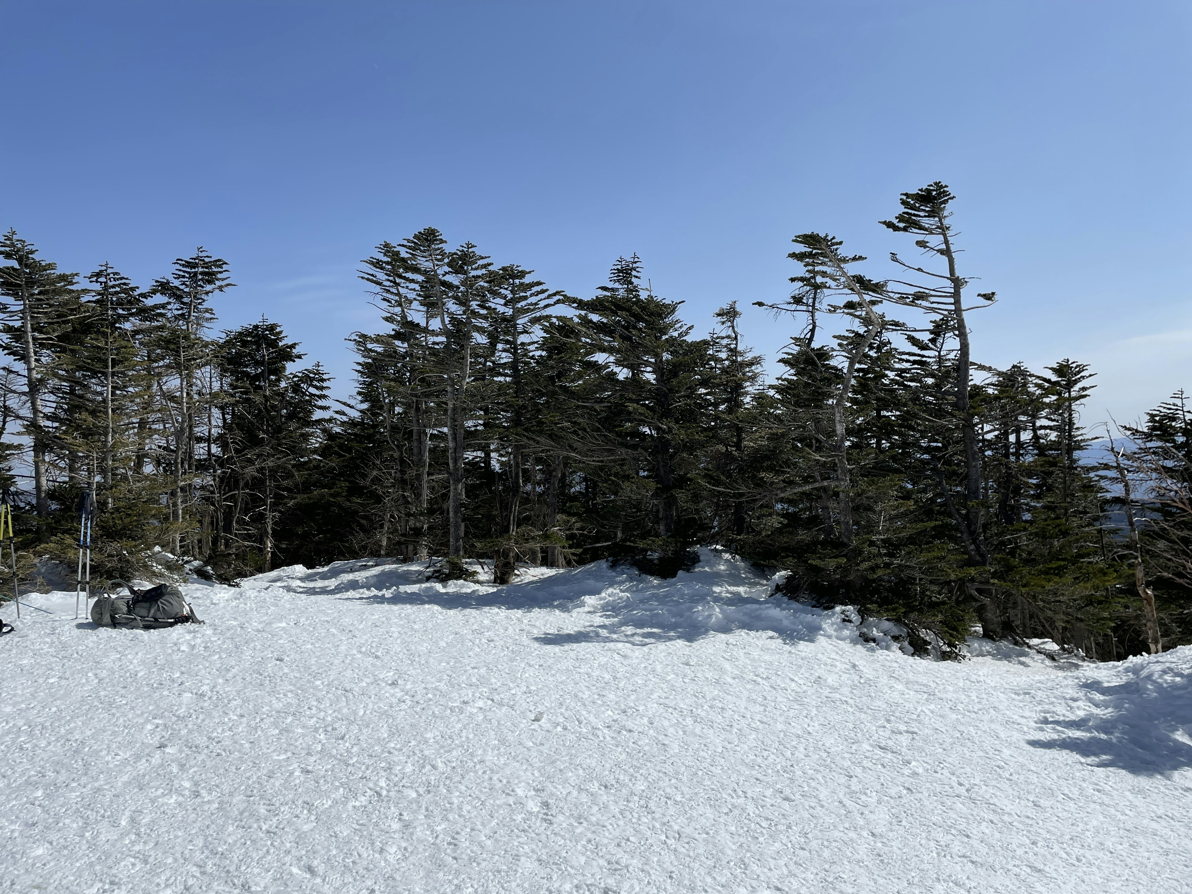 Schneebedeckte Landschaft mit Bäumen unter blauem Himmel