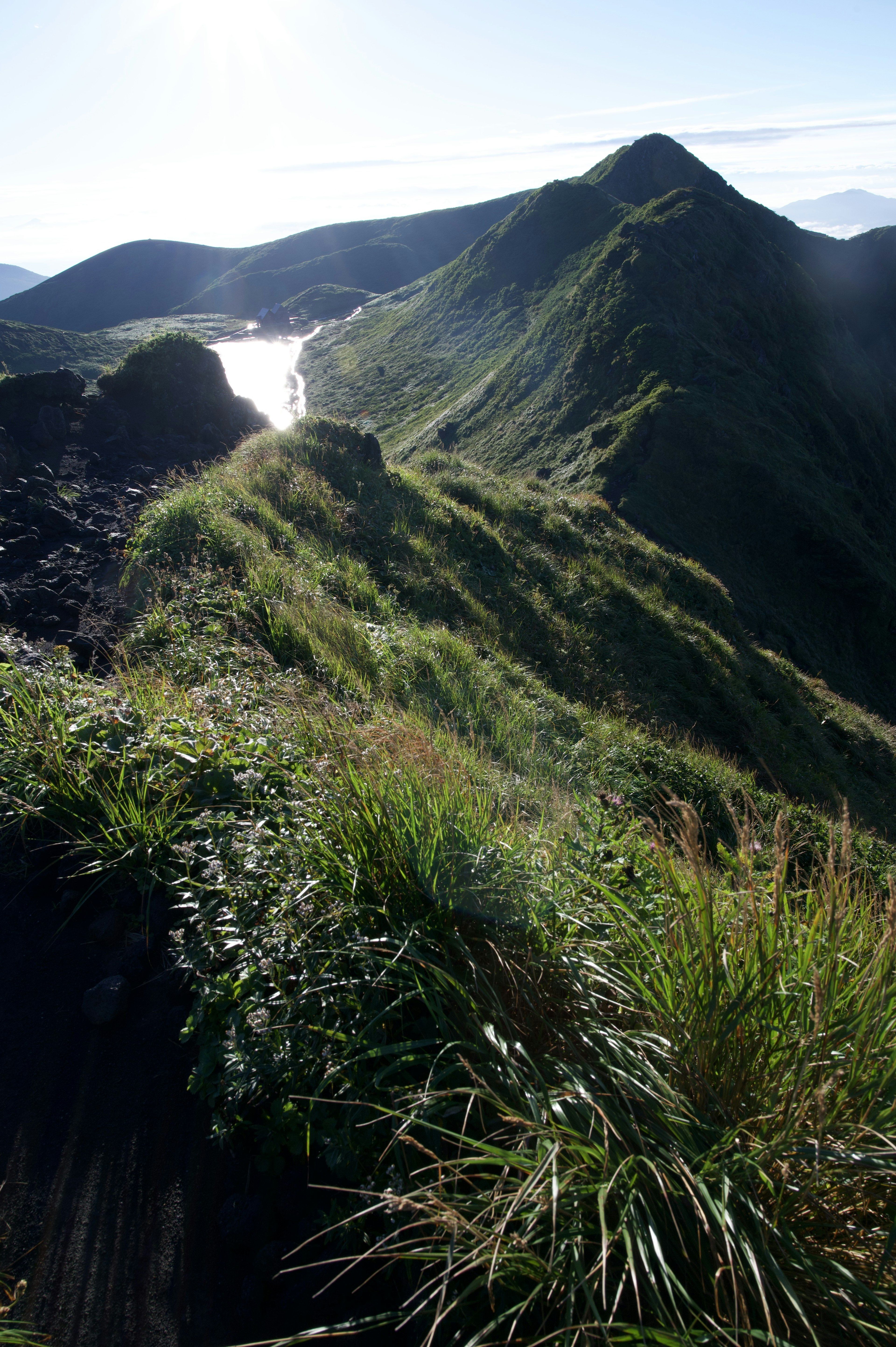 緑の草が生い茂る山の稜線と光る川