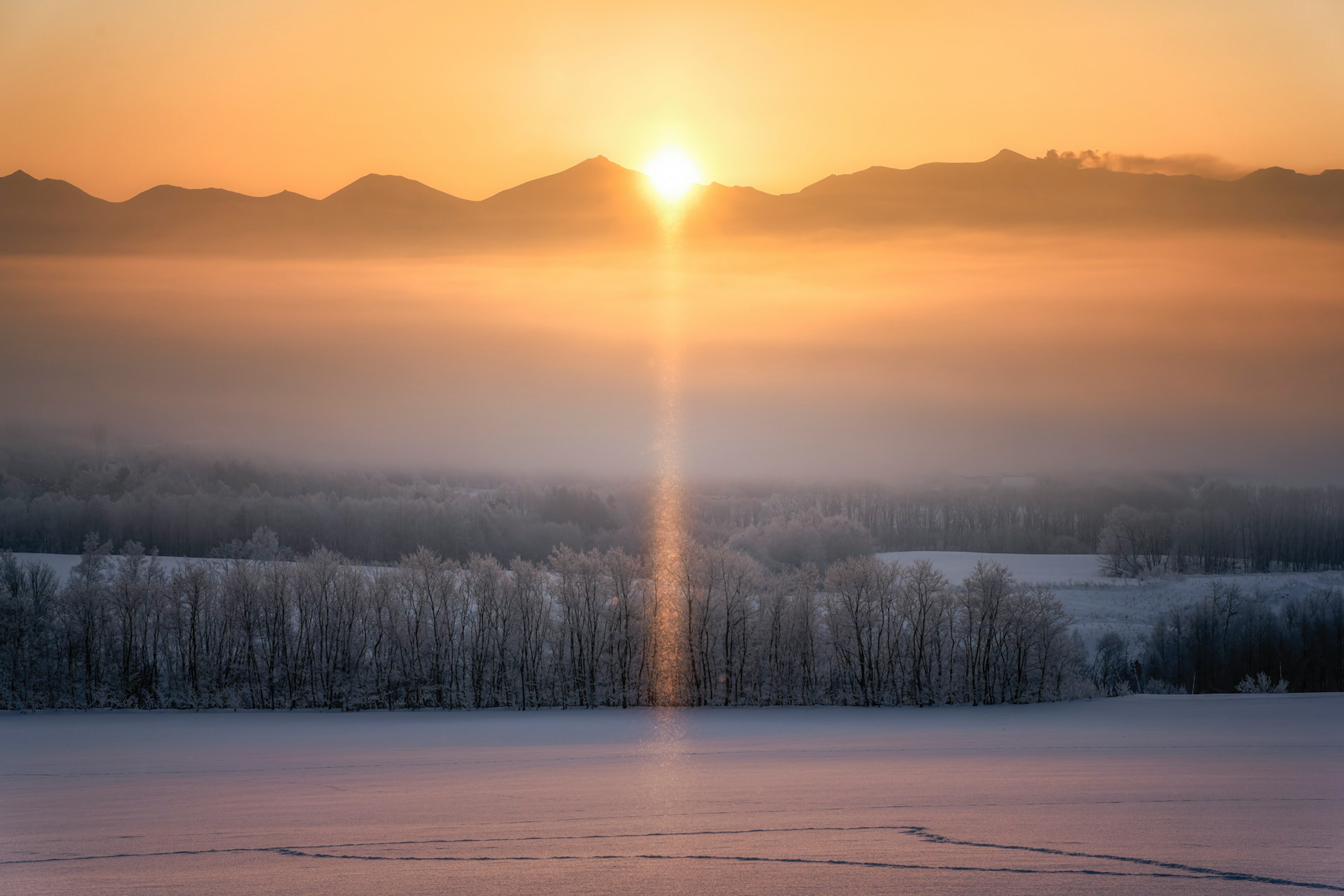 Schöner Sonnenaufgang, der über eine verschneite Landschaft scheint