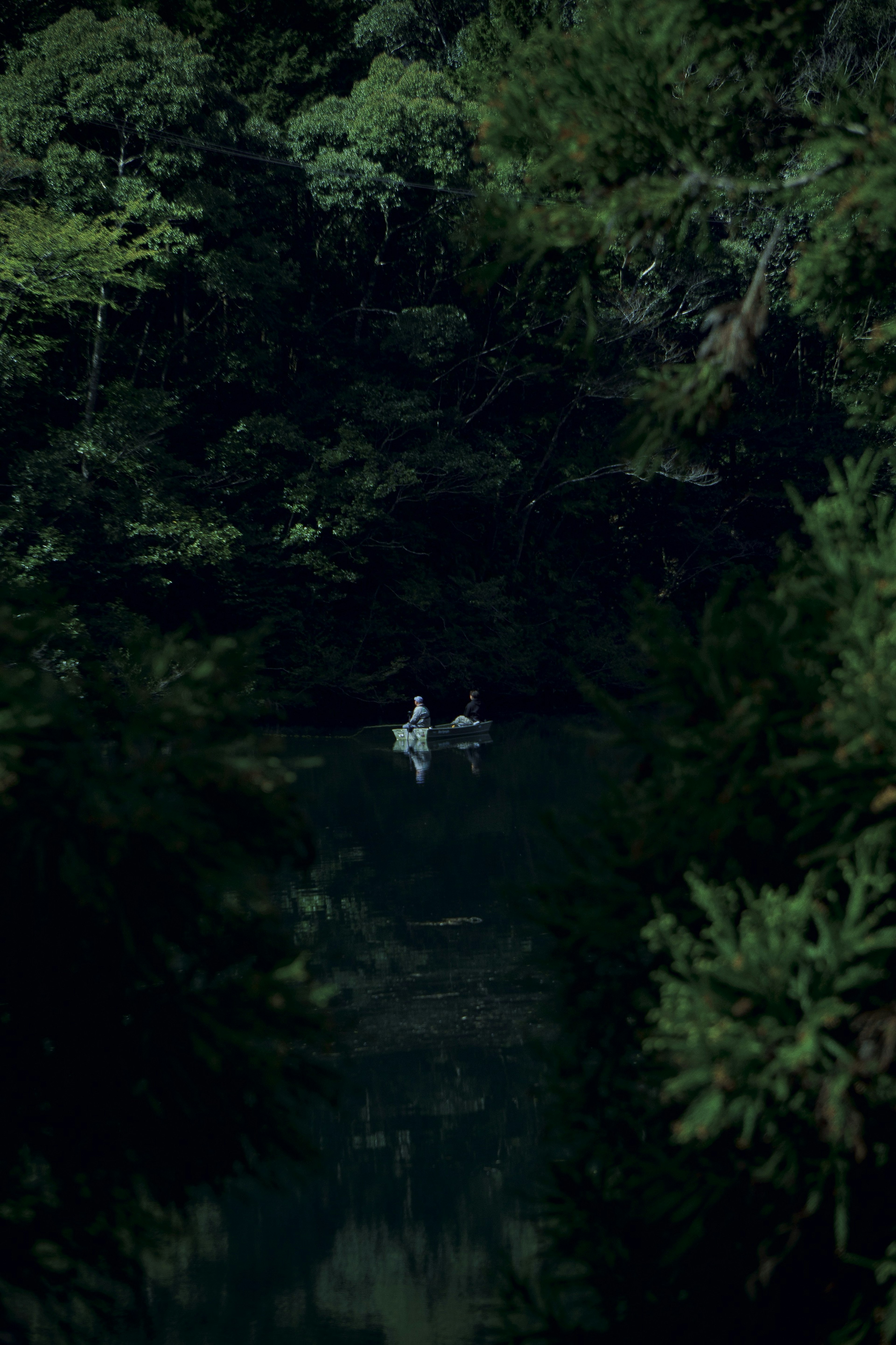 Two people kayaking on a serene lake surrounded by lush greenery