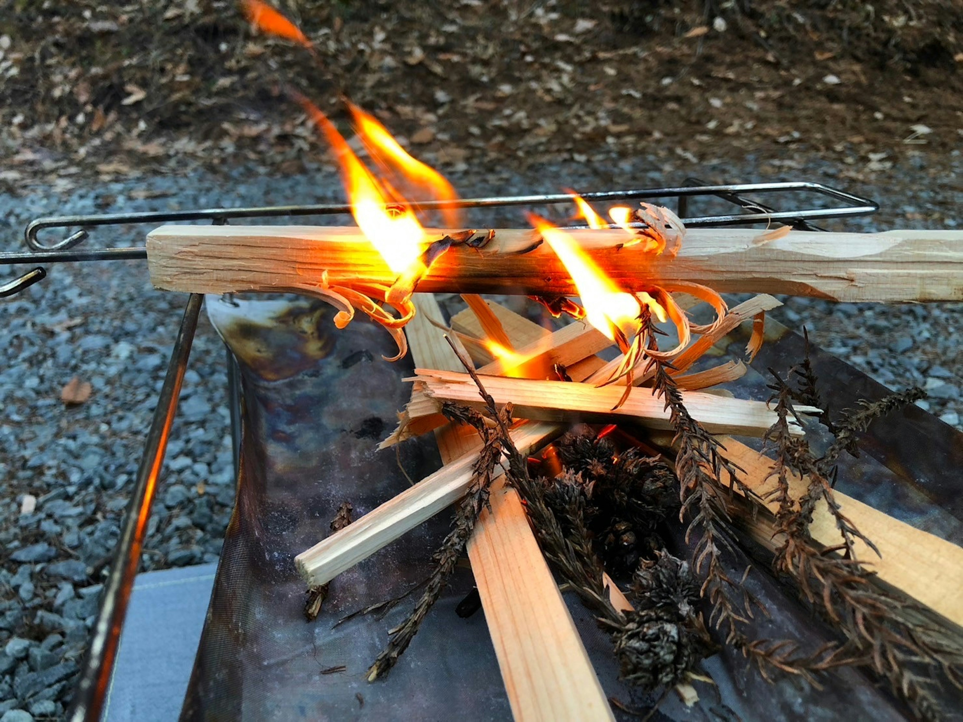 Feu de camp avec du bois brûlant et des flammes