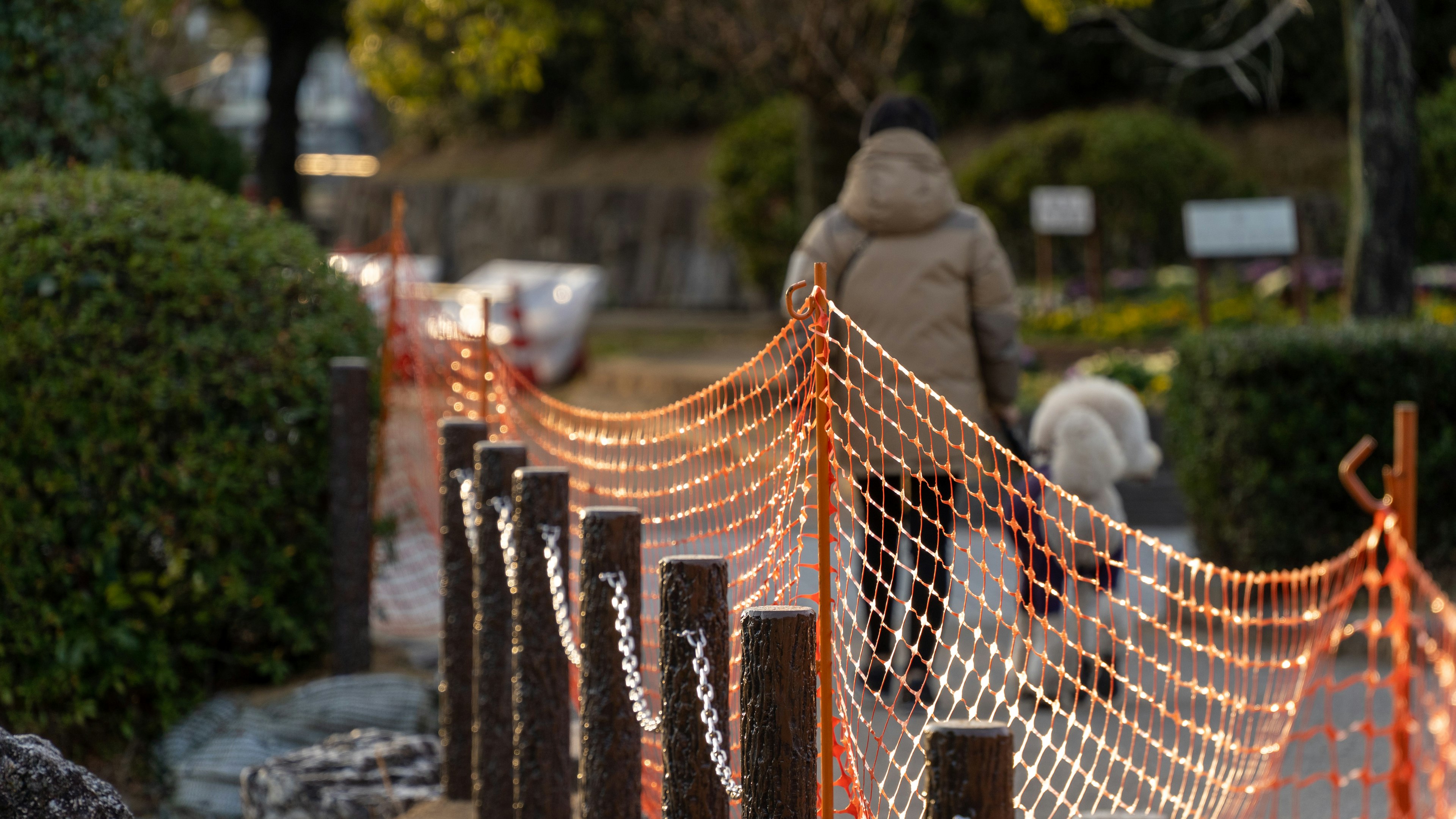 A person walking a dog along a park path with orange safety netting and wooden posts