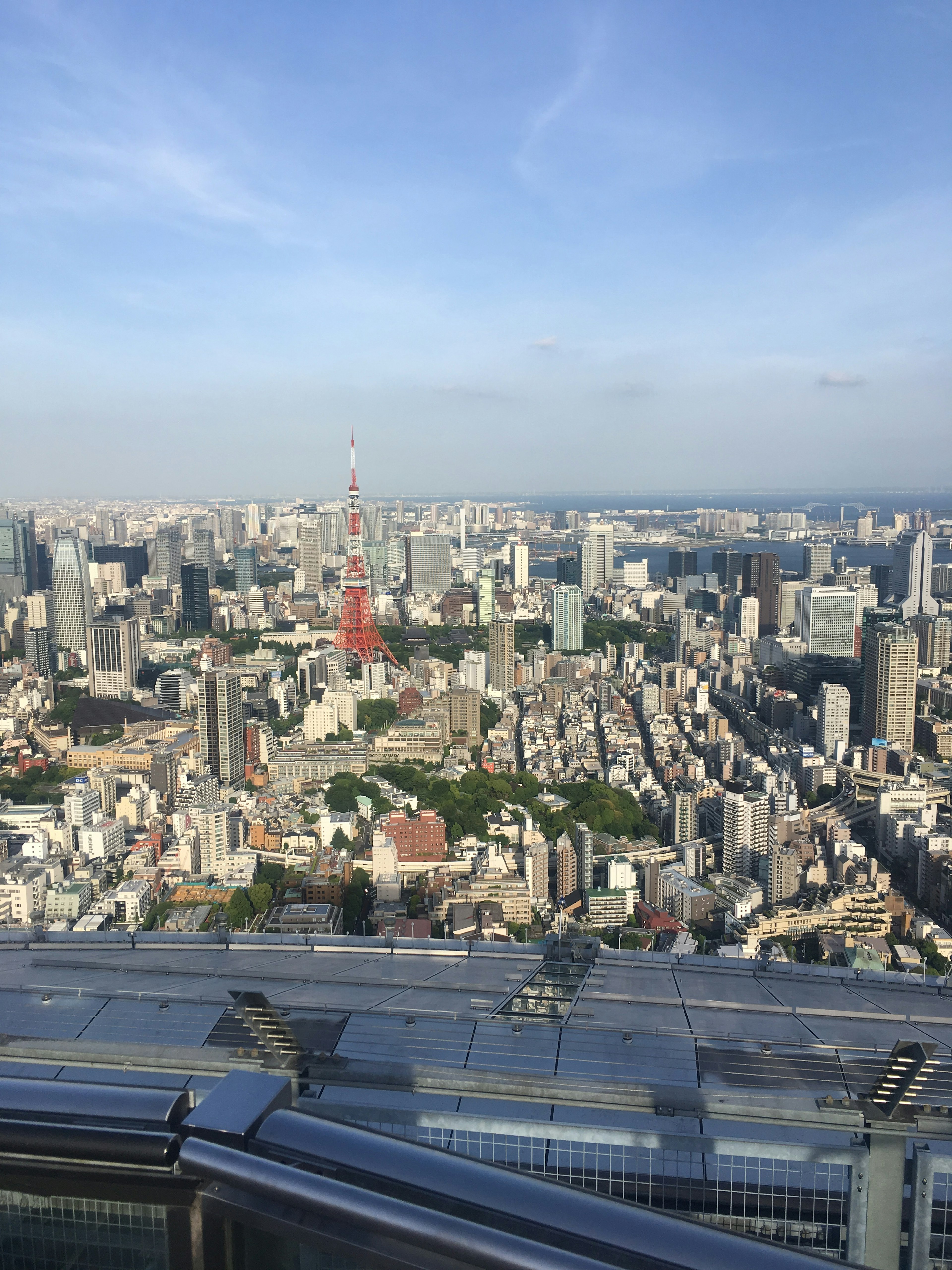 Vista aérea del horizonte de Tokio con la Torre de Tokio y espacios verdes