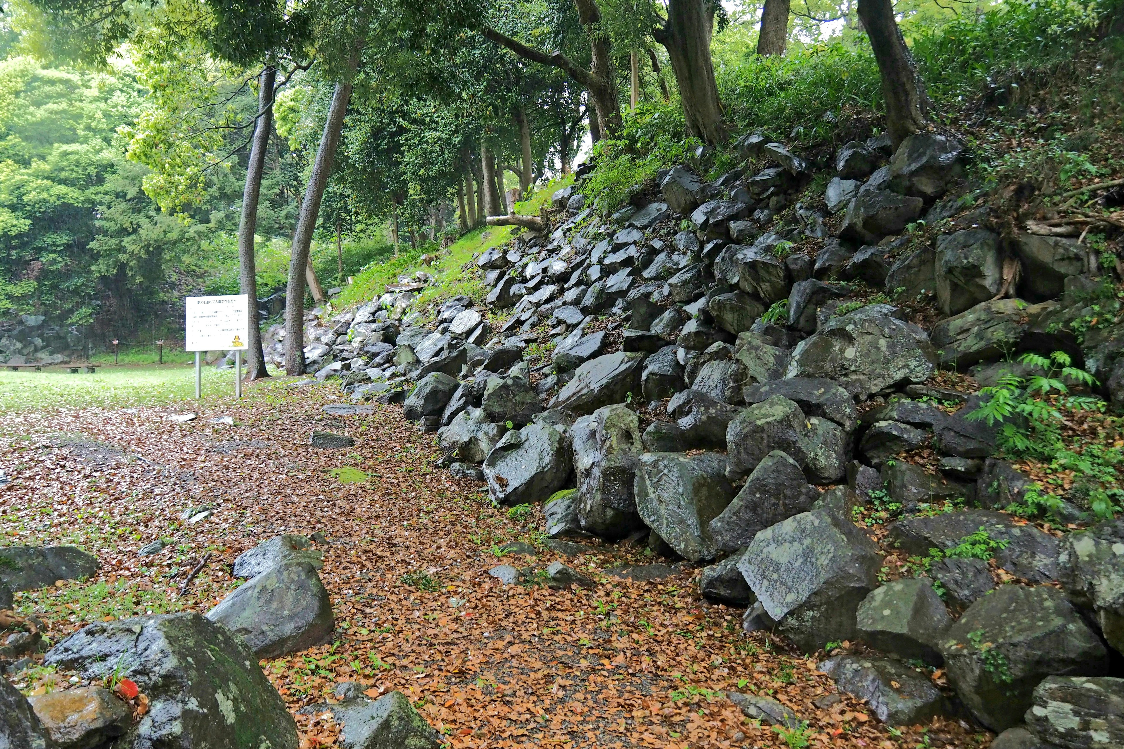 Bukit berbatu dengan daun berserakan dan pohon-pohon