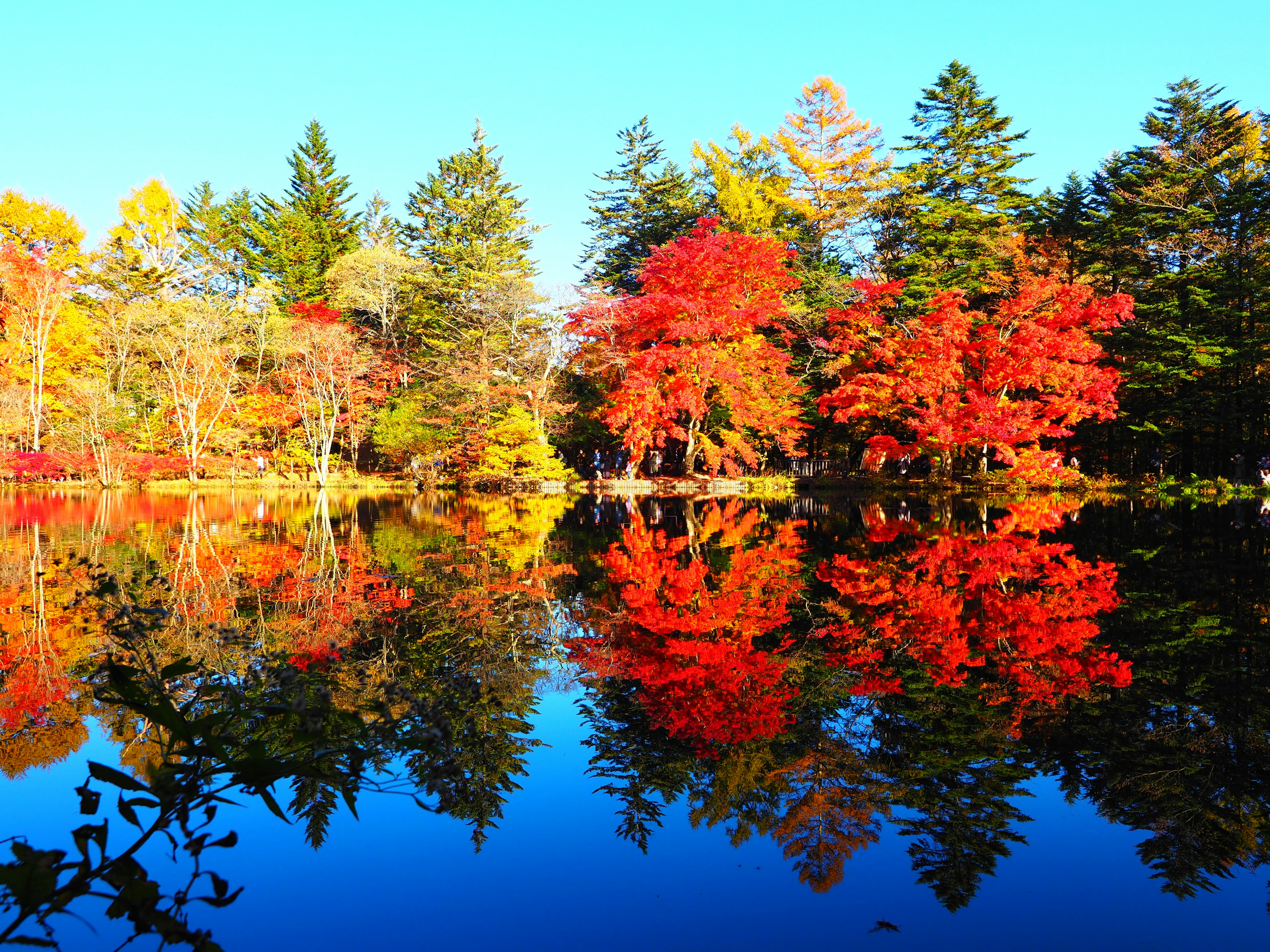 Vista escénica de follaje de otoño reflejándose en un lago tranquilo