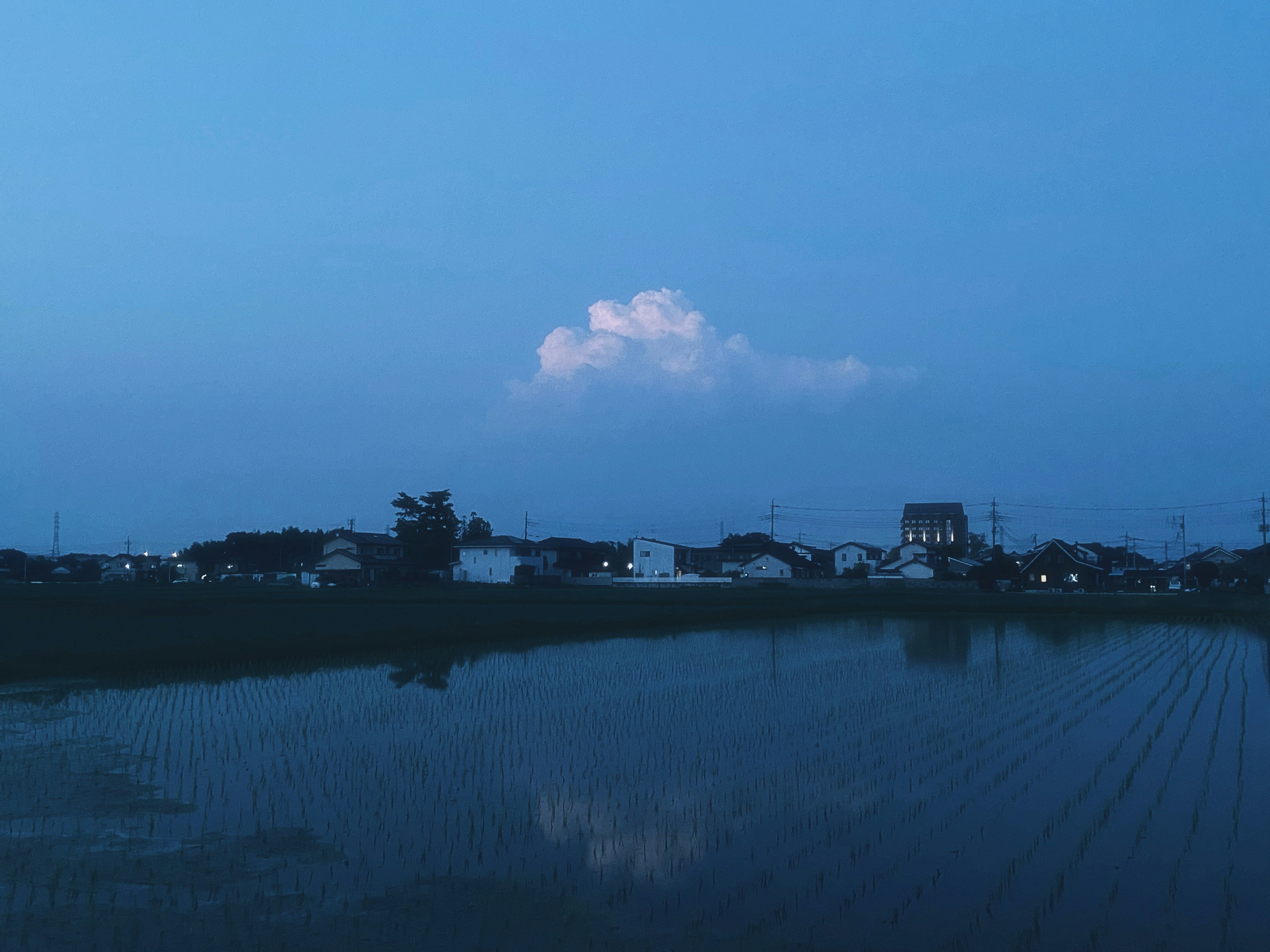 Un paisaje sereno con una nube blanca en un cielo azul reflejada en campos de arroz tranquilos