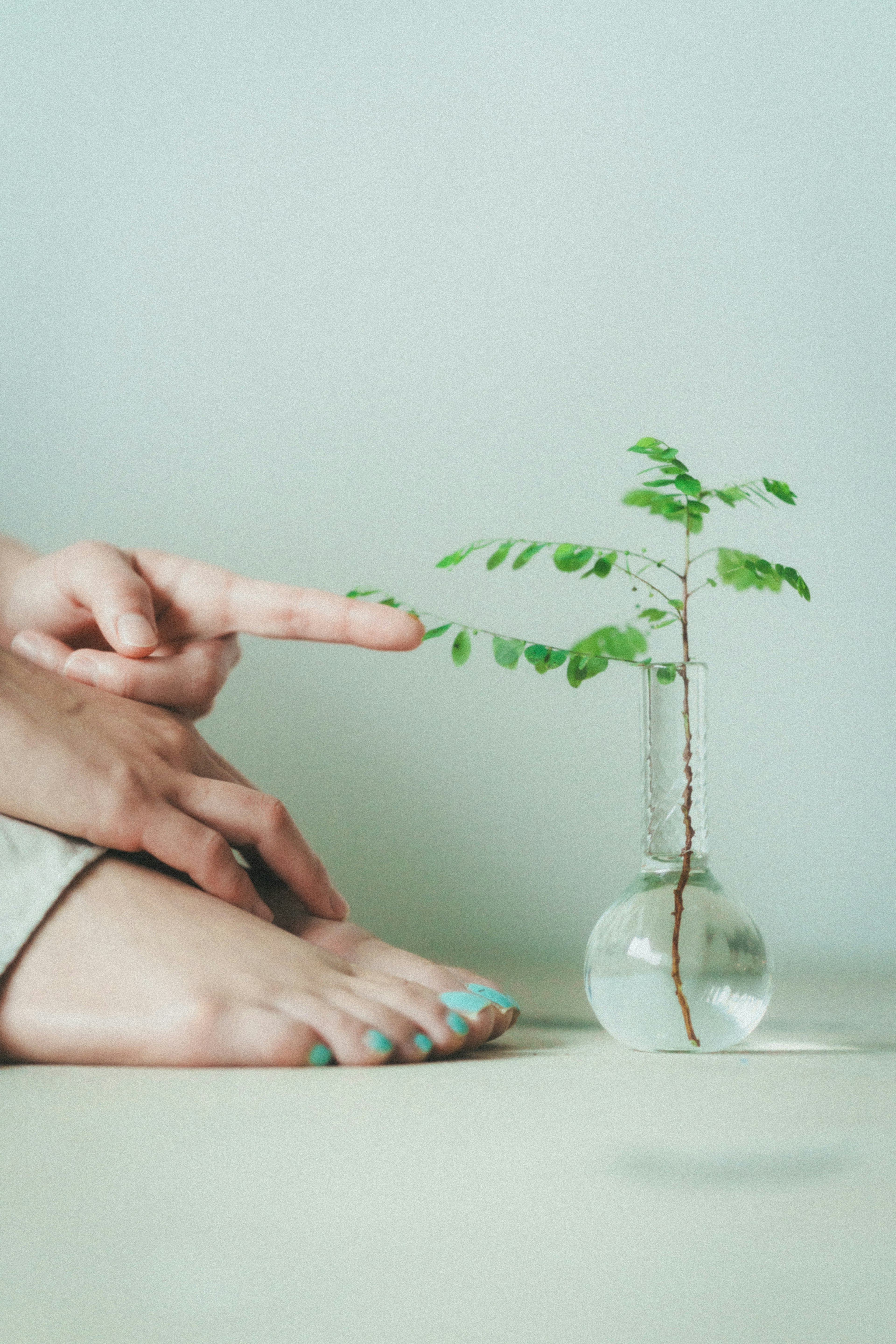 A hand pointing at a small plant in a glass vase with bare feet visible