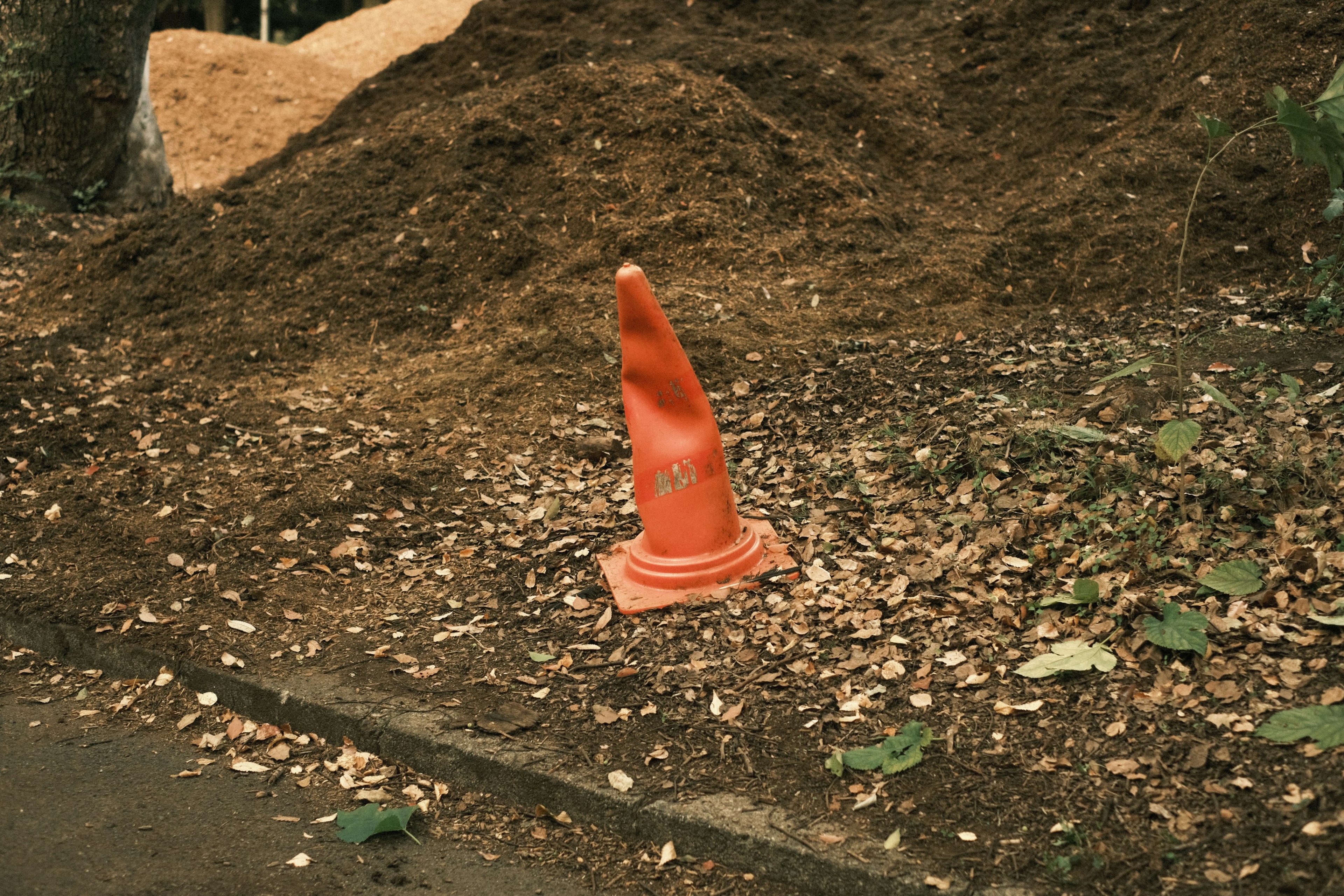 Sebuah cone lalu lintas oranye berdiri di antara daun yang jatuh dengan tumpukan tanah di latar belakang