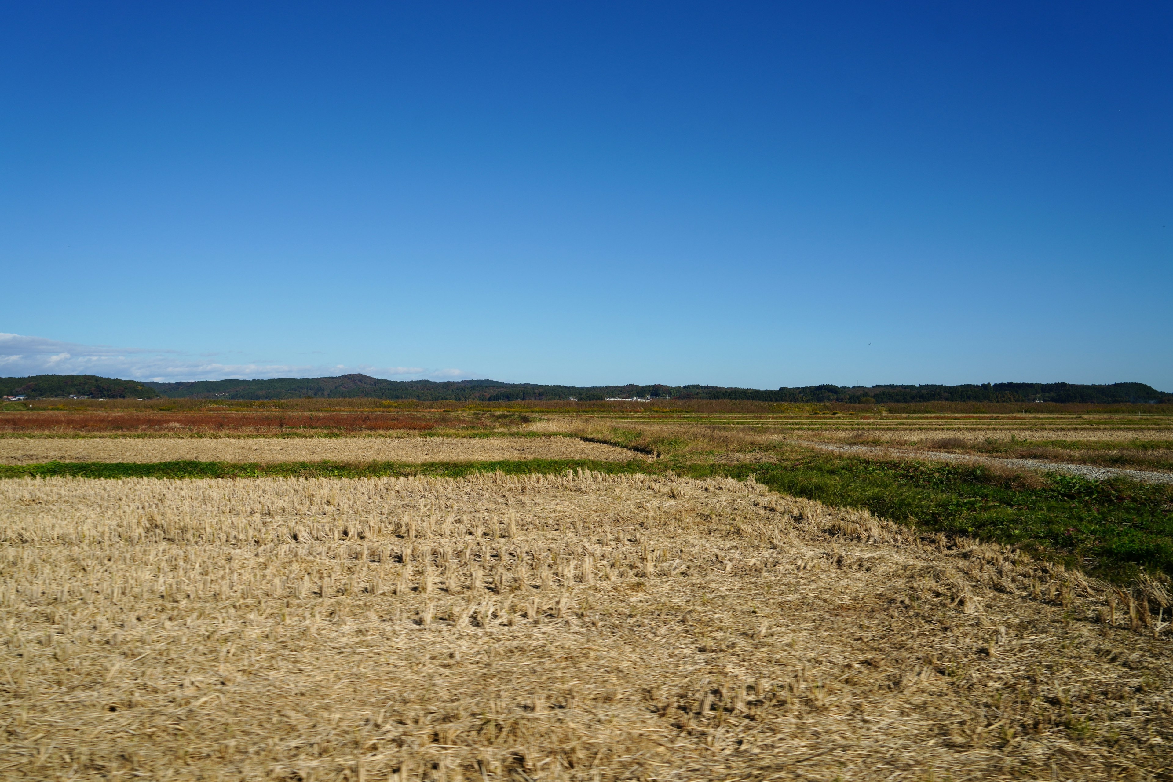 Eine Landschaft mit blauem Himmel und weiten Feldern