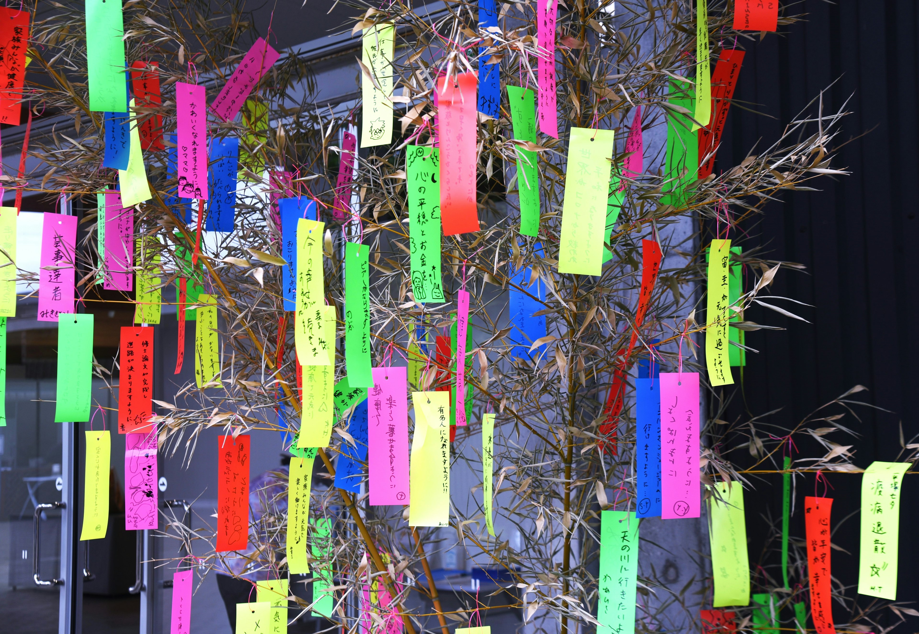 Bandes de papier colorées suspendues à un arbre en bambou