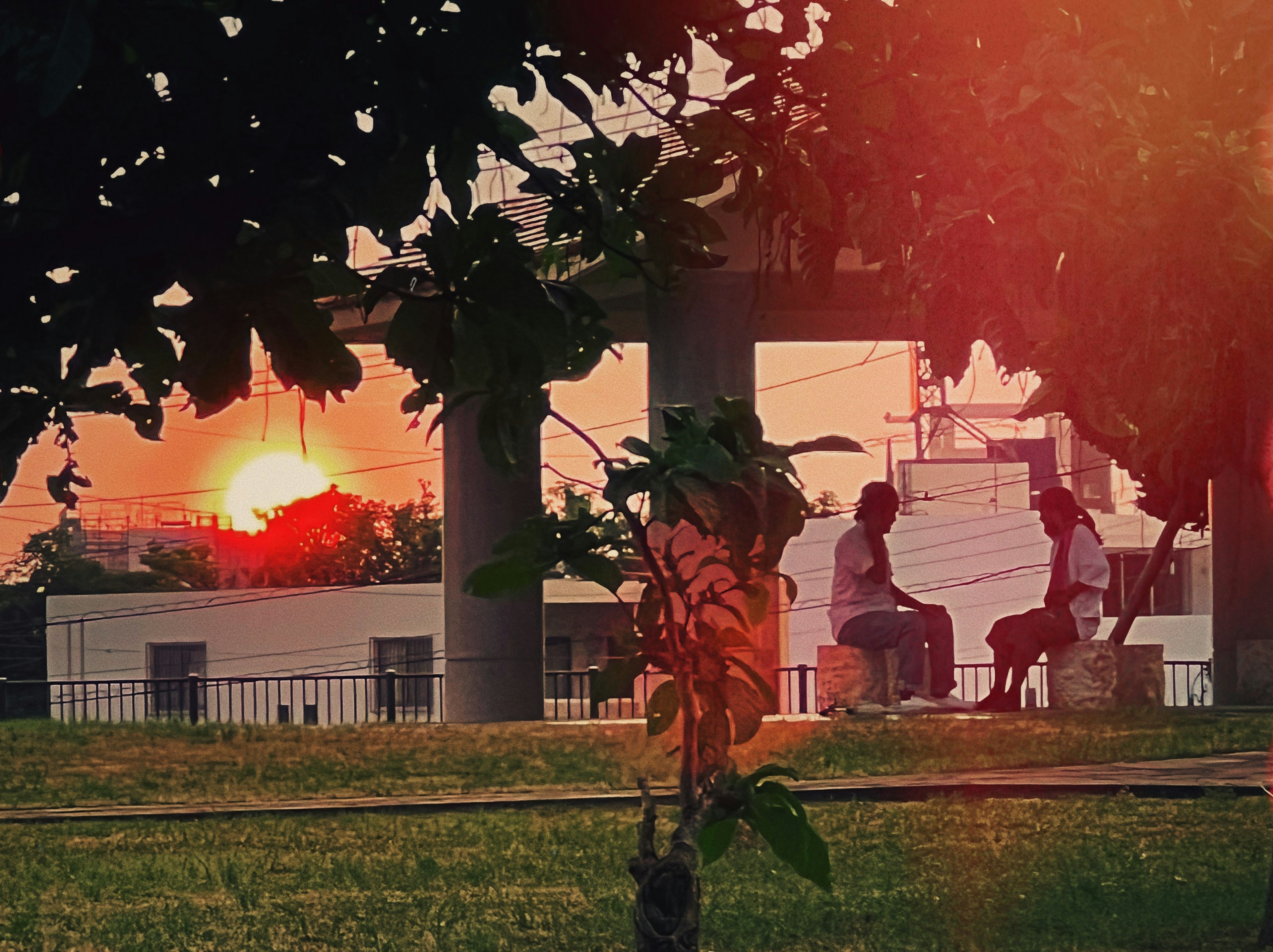 Two men talking with a sunset backdrop and grassy landscape