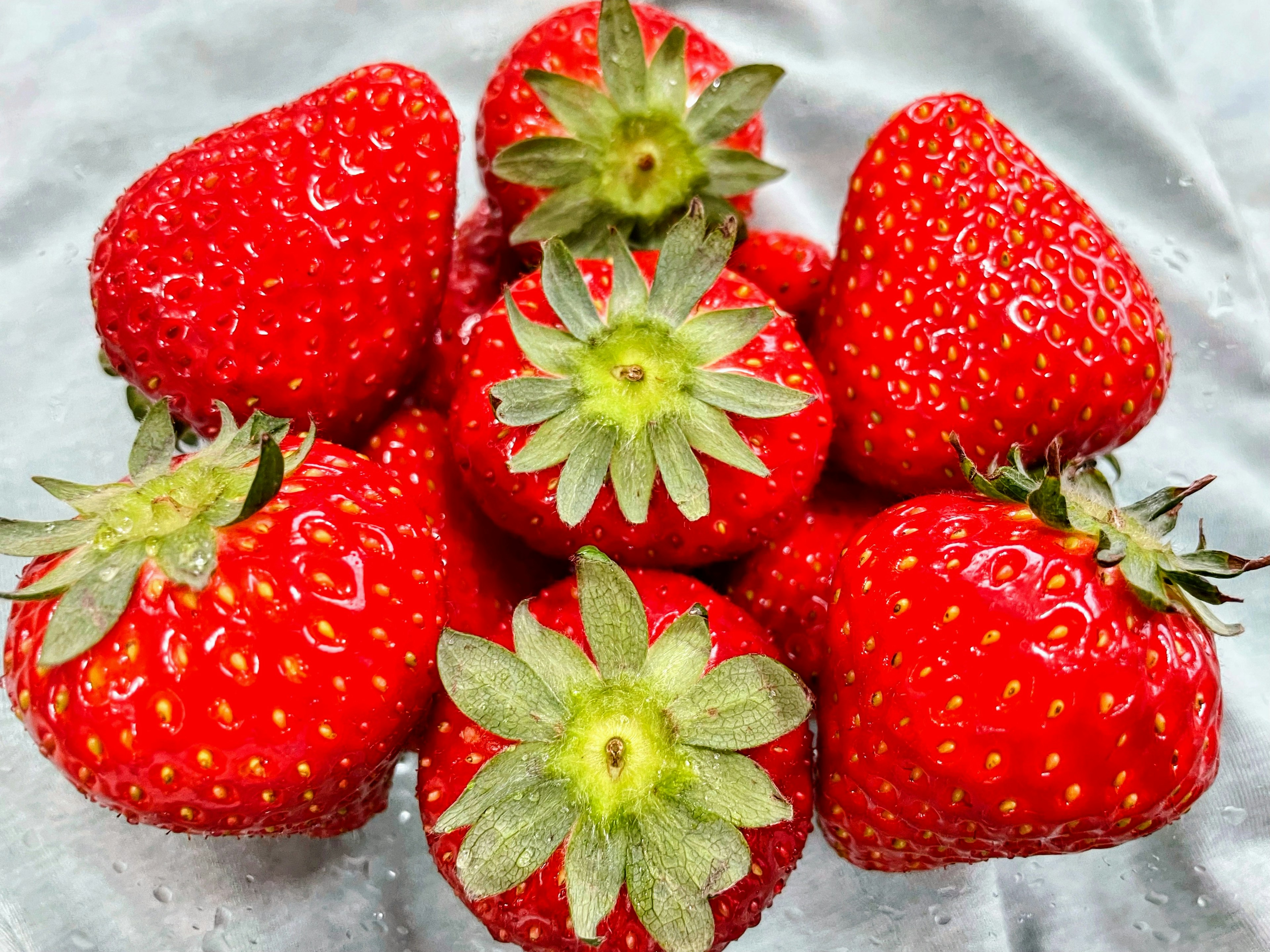 Un groupe de six fraises rouges vibrantes disposées ensemble