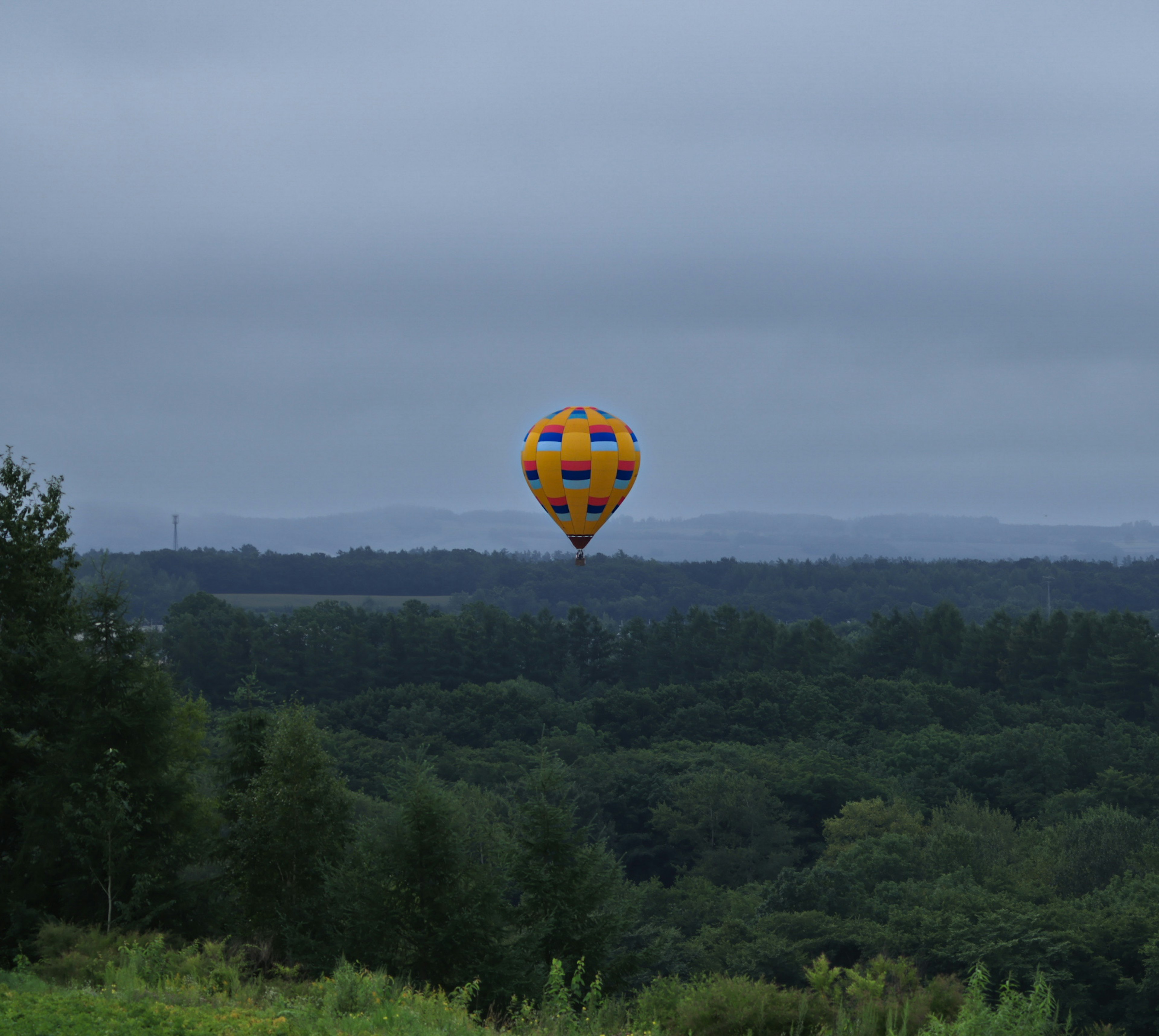 Bunte Heißluftballon schwebt über grüne Landschaft unter bewölktem Himmel