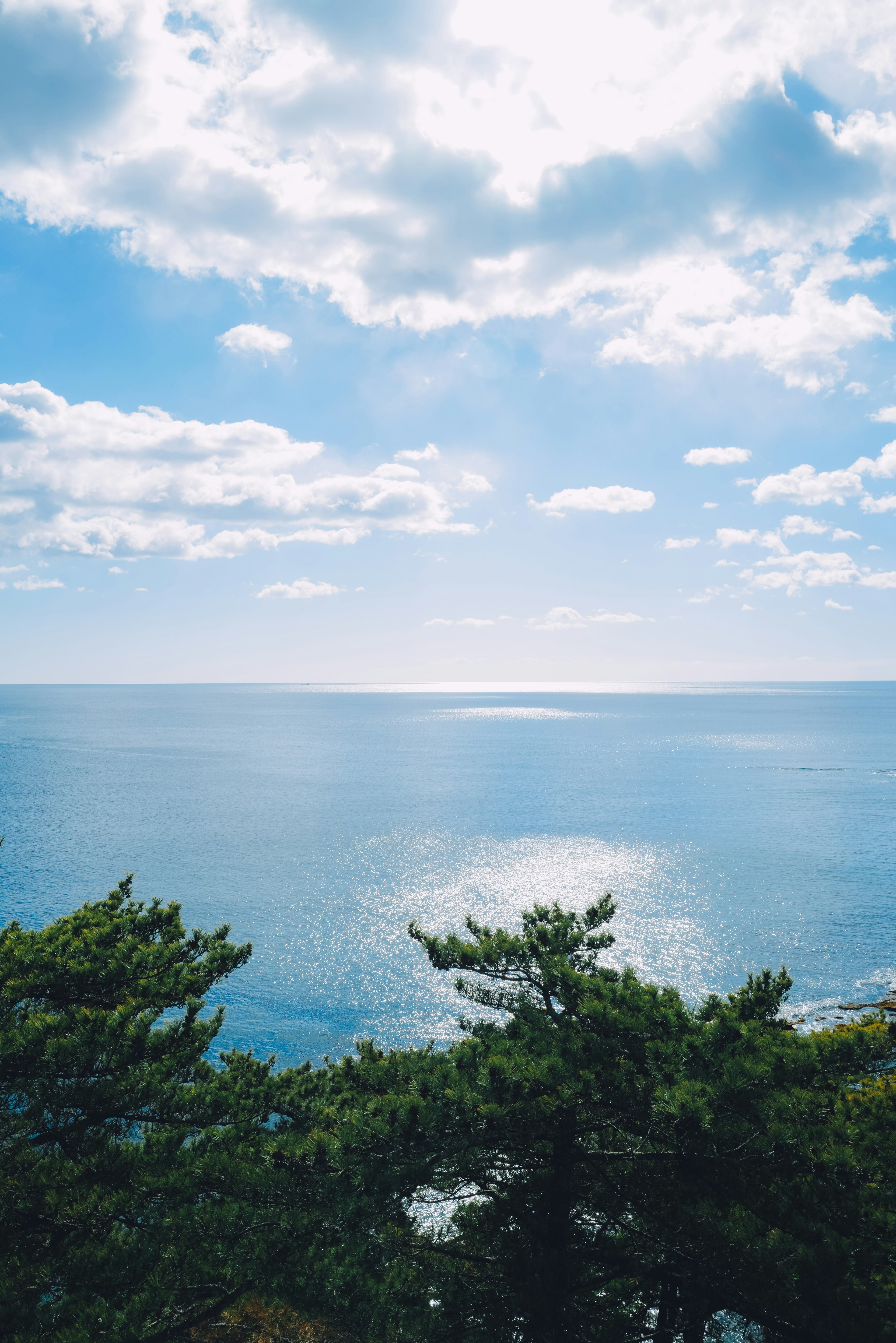 蓝色海洋和多云天空的风景，前景中有绿色树木