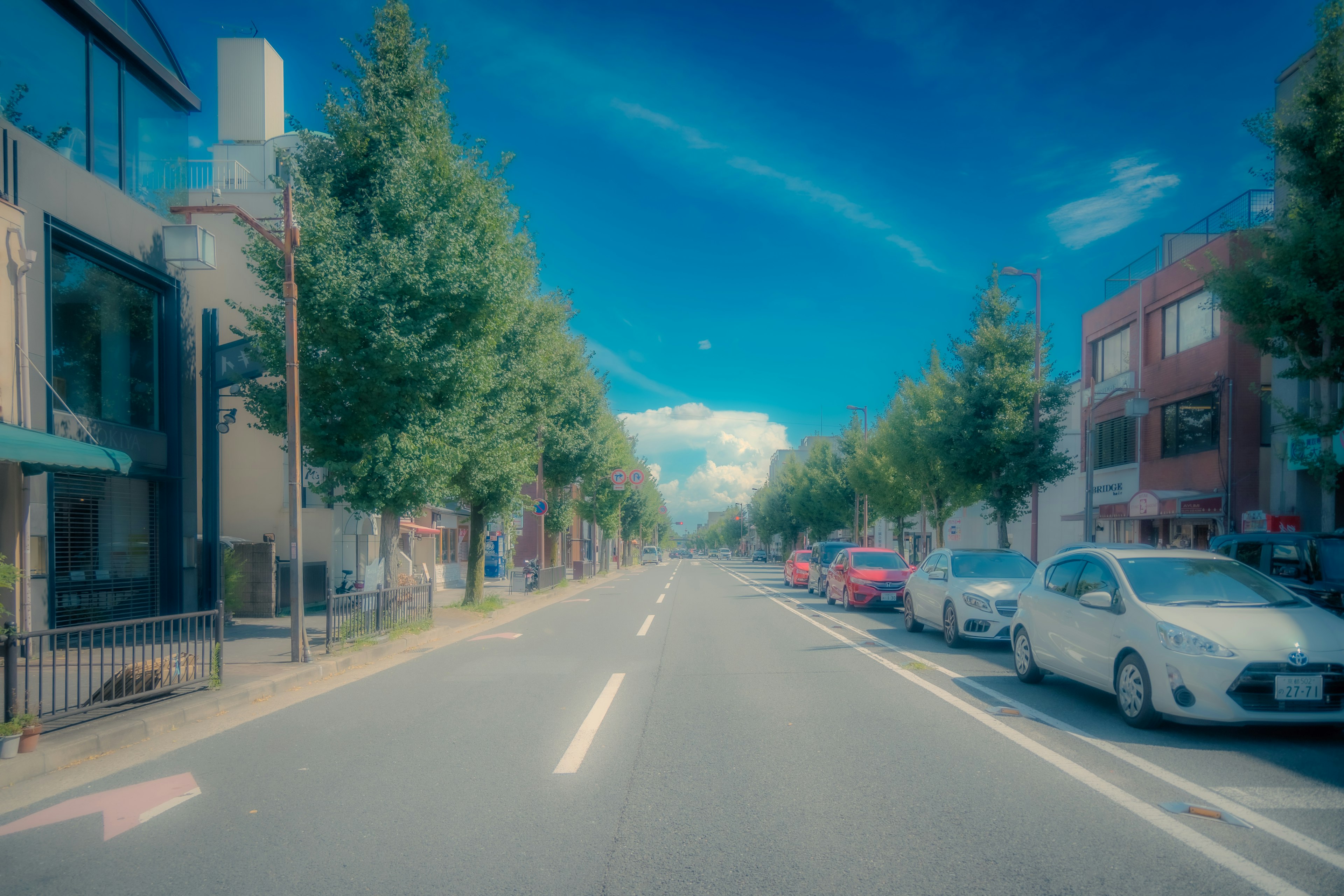 青空の下に並ぶ街路樹と車がある通りの風景