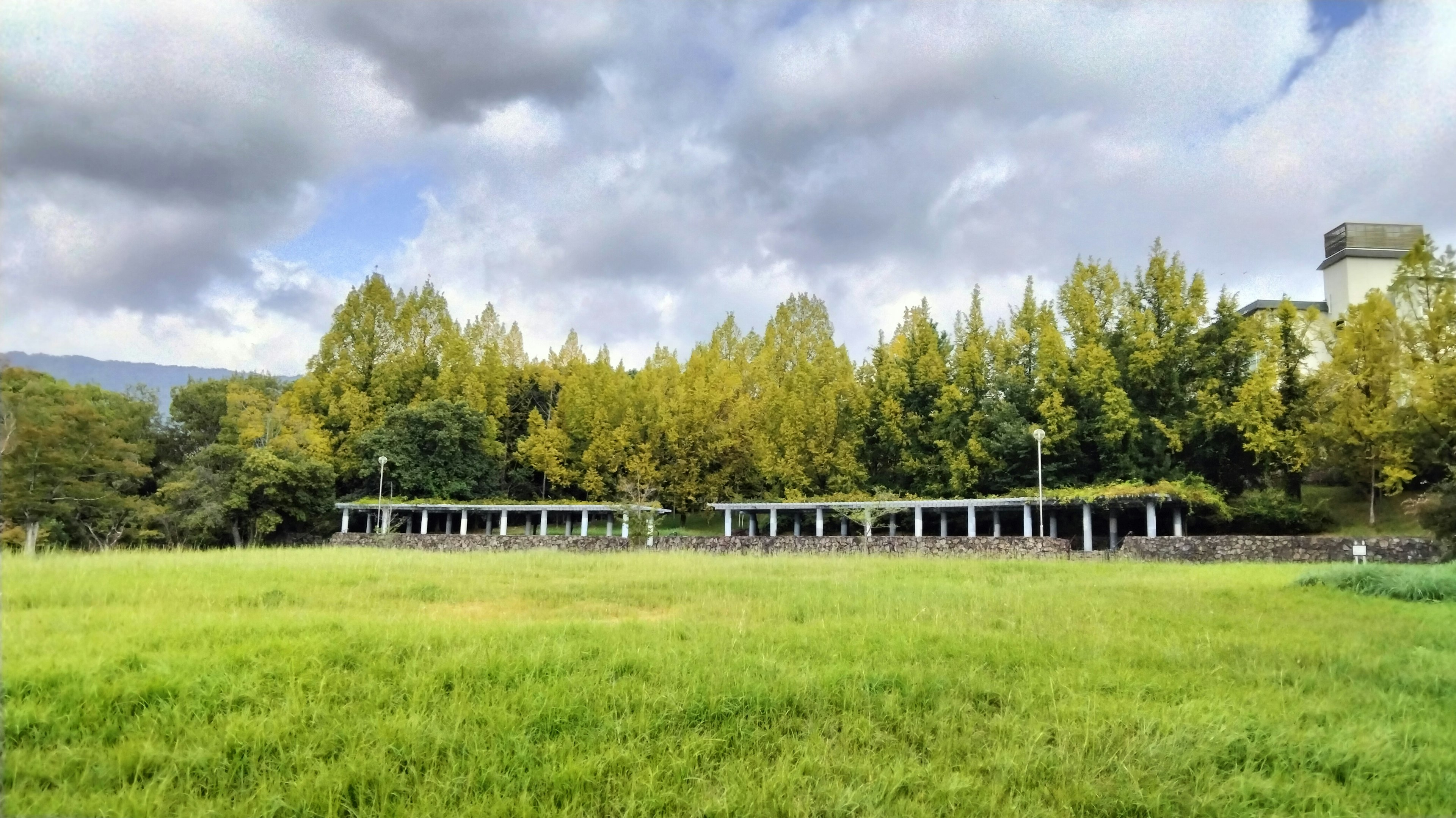 Vista escénica de un prado verde con árboles amarillos y un edificio blanco