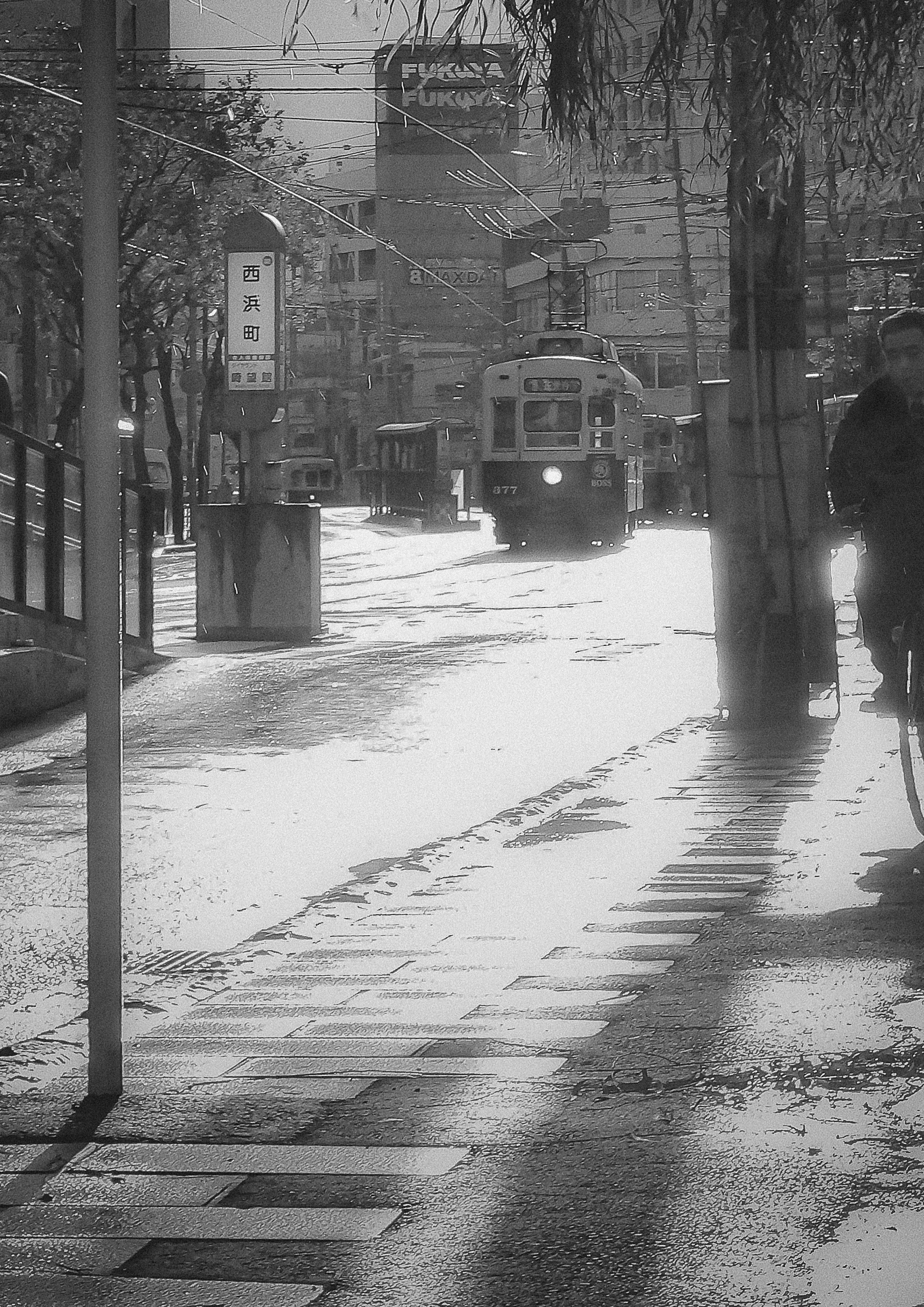 Black and white street scene person on bicycle tram on the road