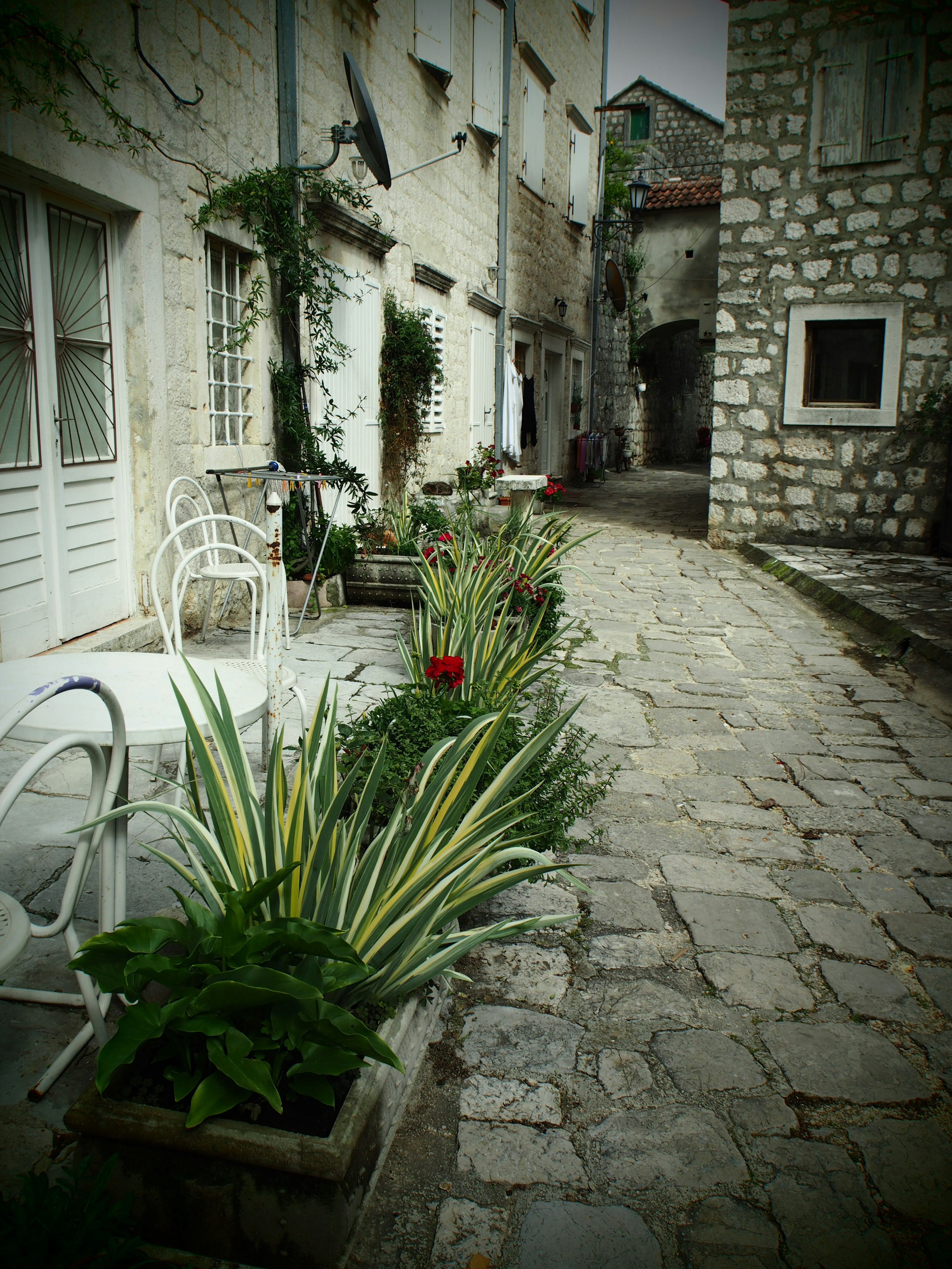 Charming stone street with potted plants and outdoor café seating