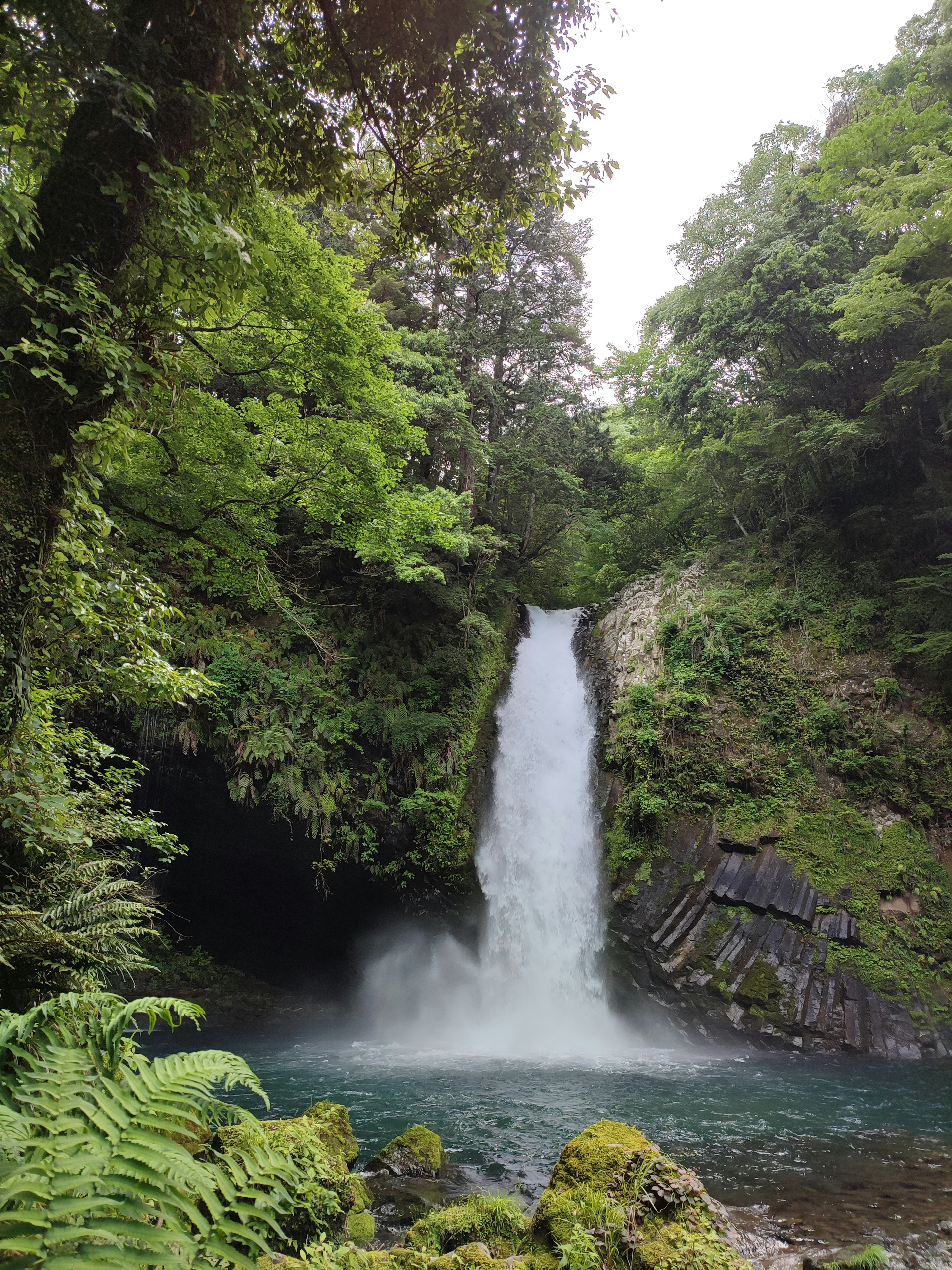 Bellissima cascata circondata da una vegetazione lussureggiante