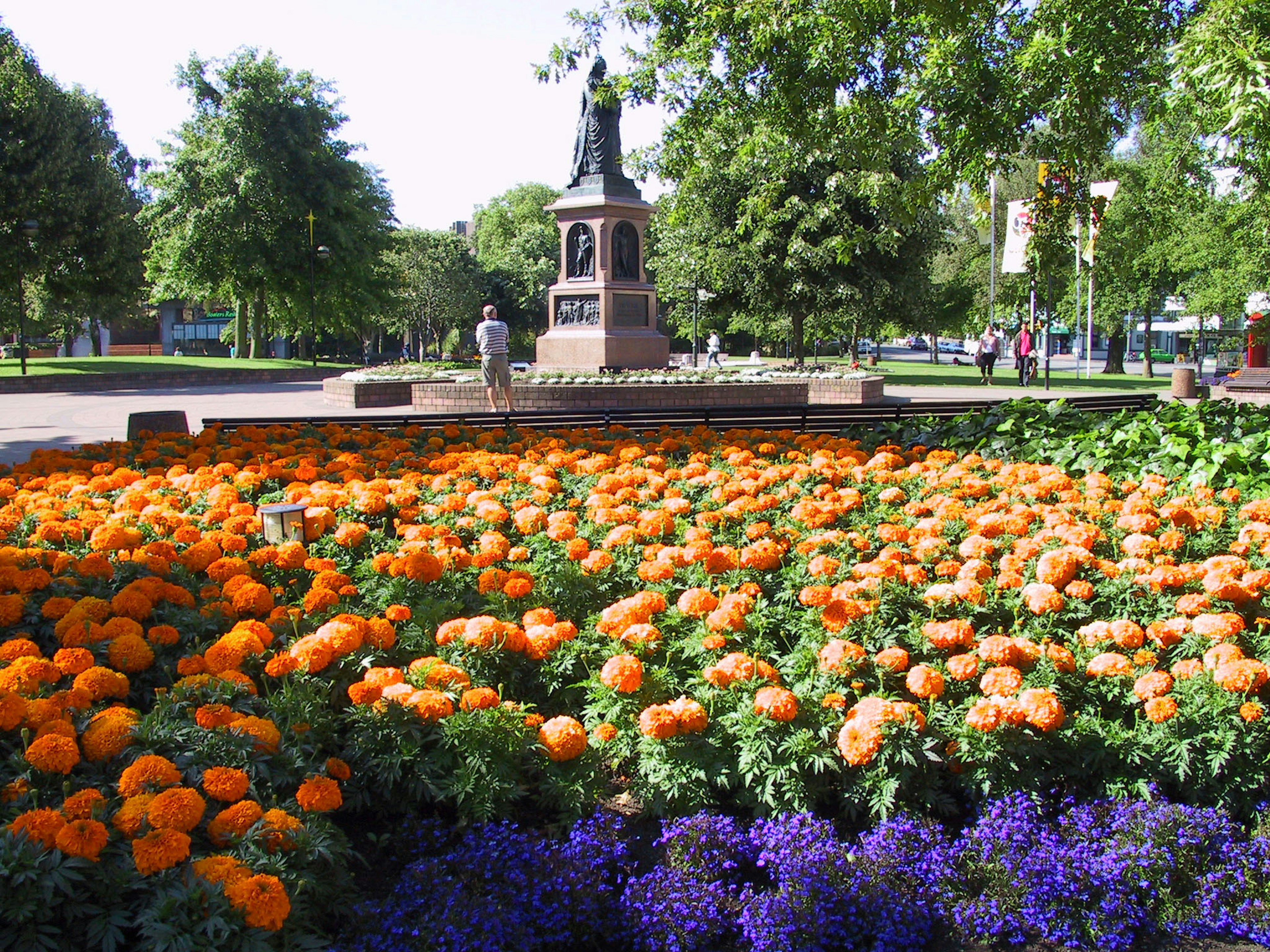 Vibrant orange and purple flowers in a park with a statue