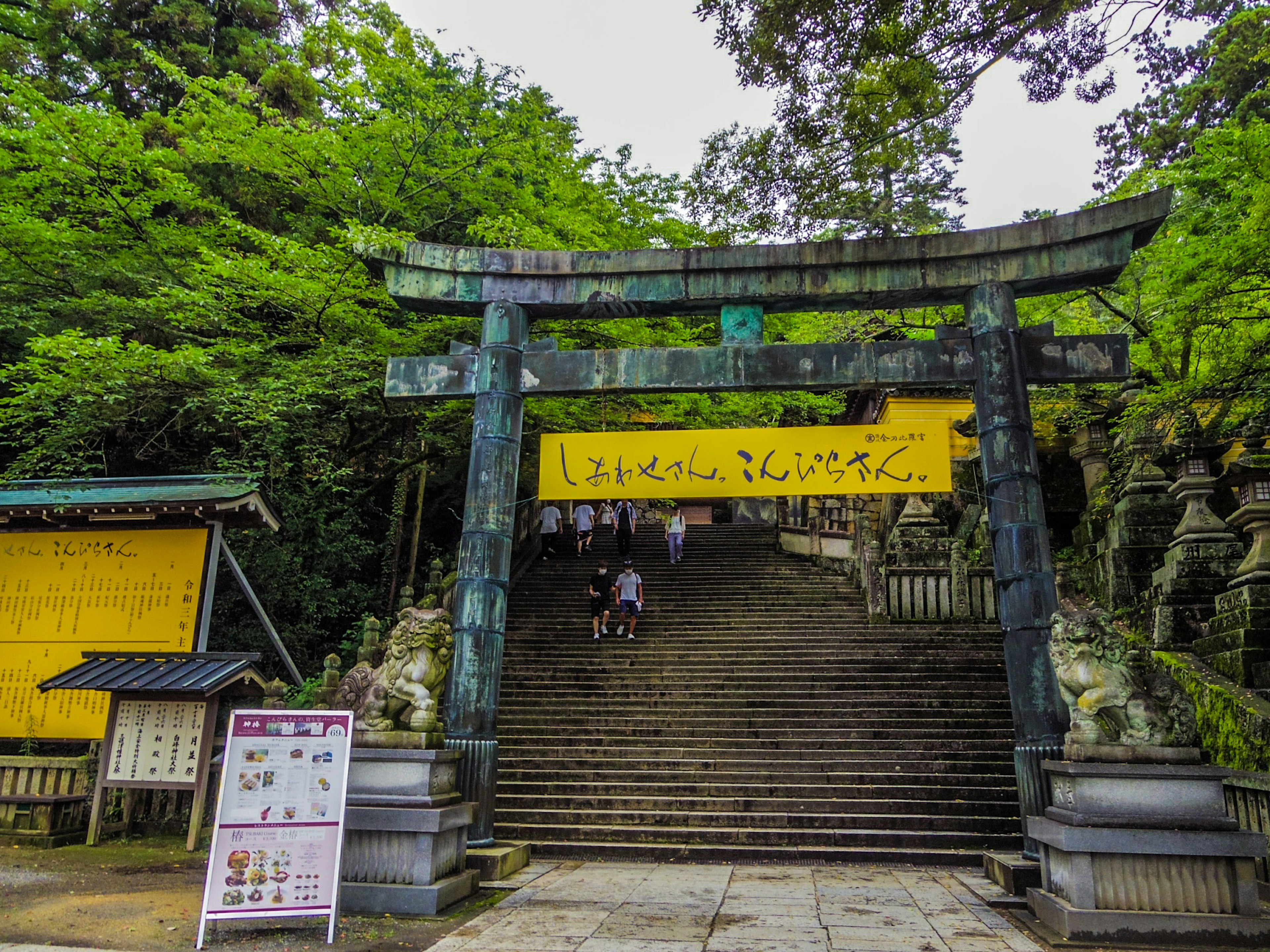 緑に囲まれた神社の鳥居と階段の風景