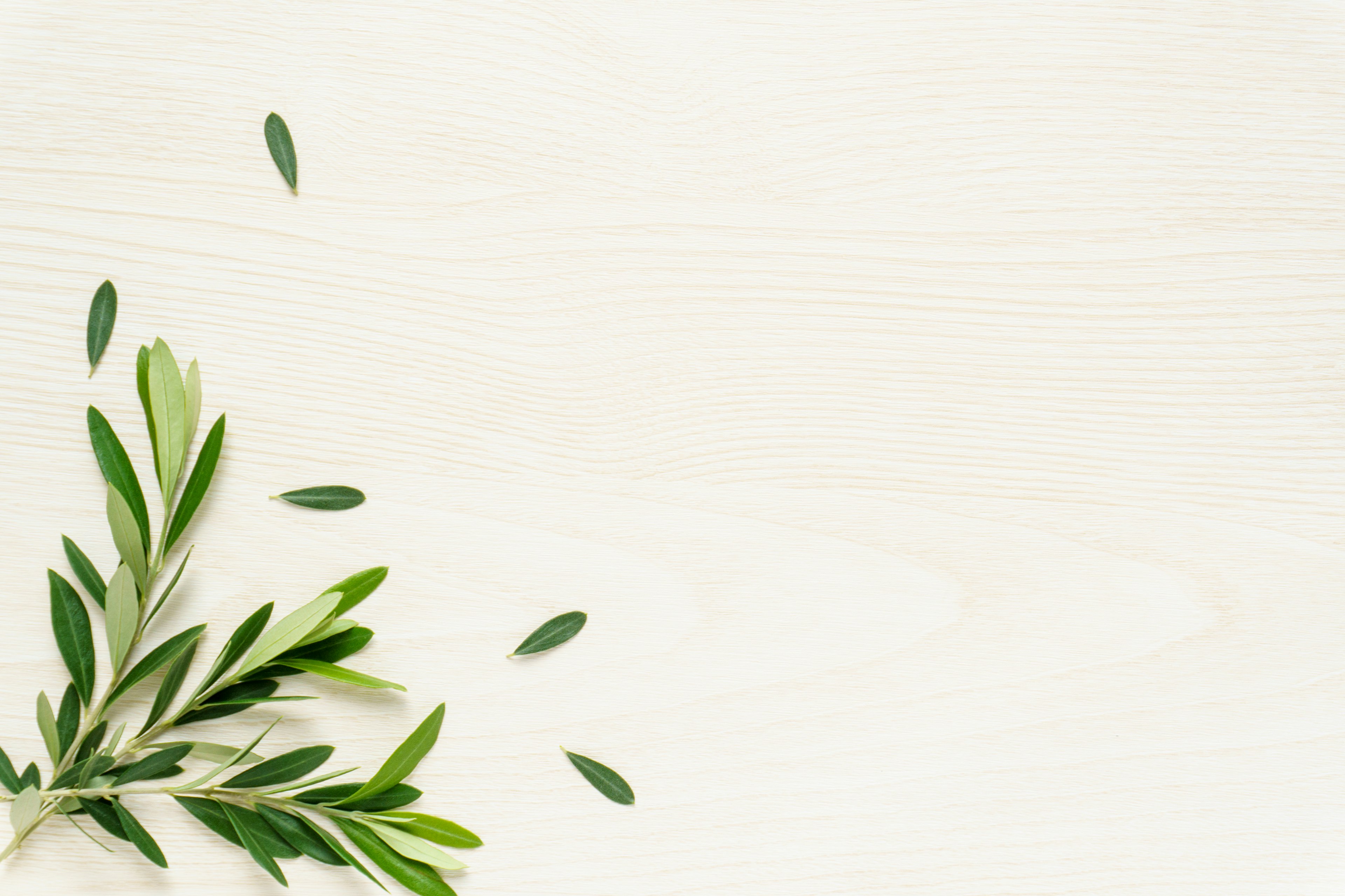 Fresh olive leaves scattered on a light wooden background