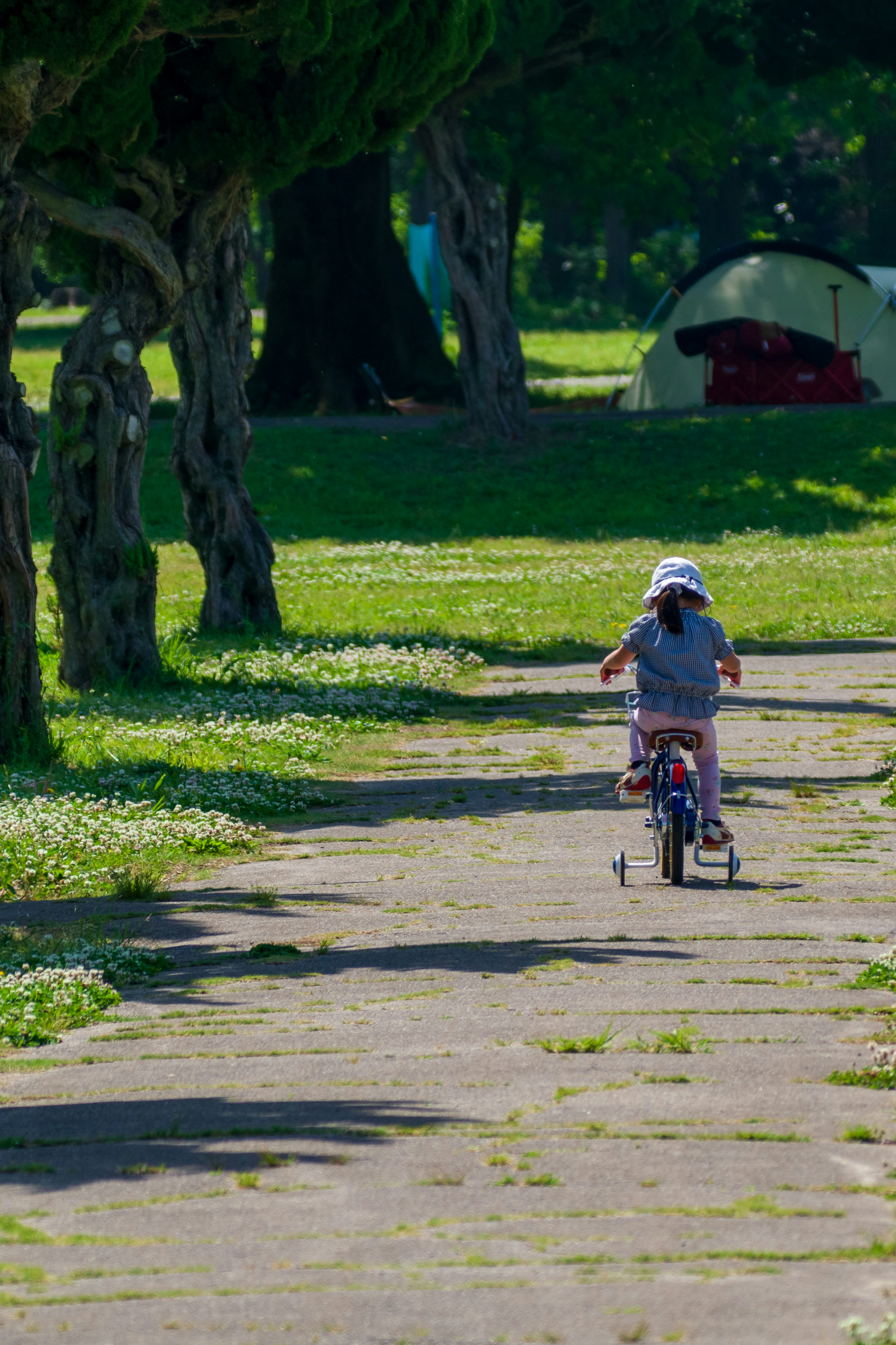 Enfant faisant du vélo sur un chemin entouré de verdure et d'arbres