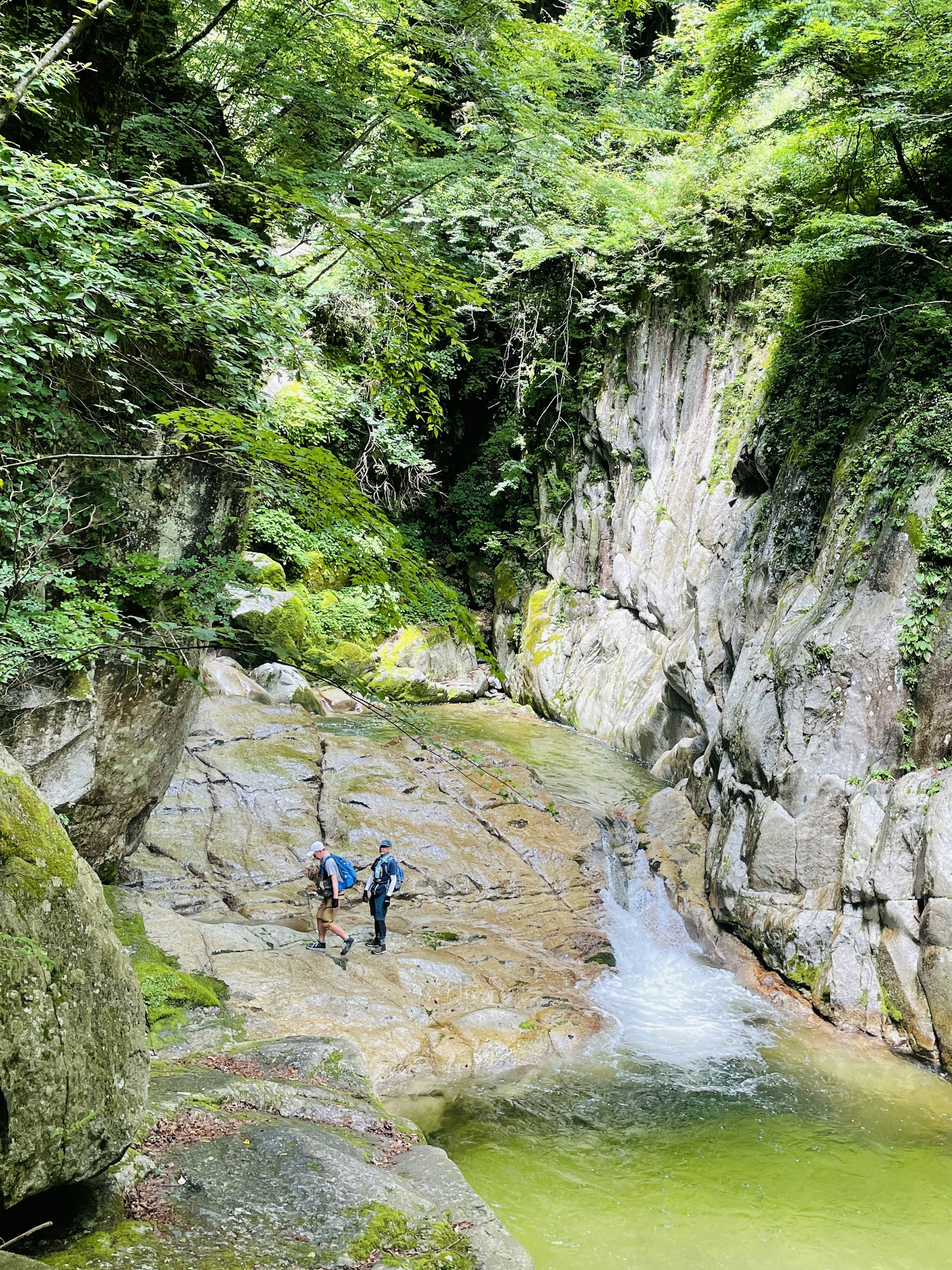 Two hikers crossing a stream in a lush green canyon