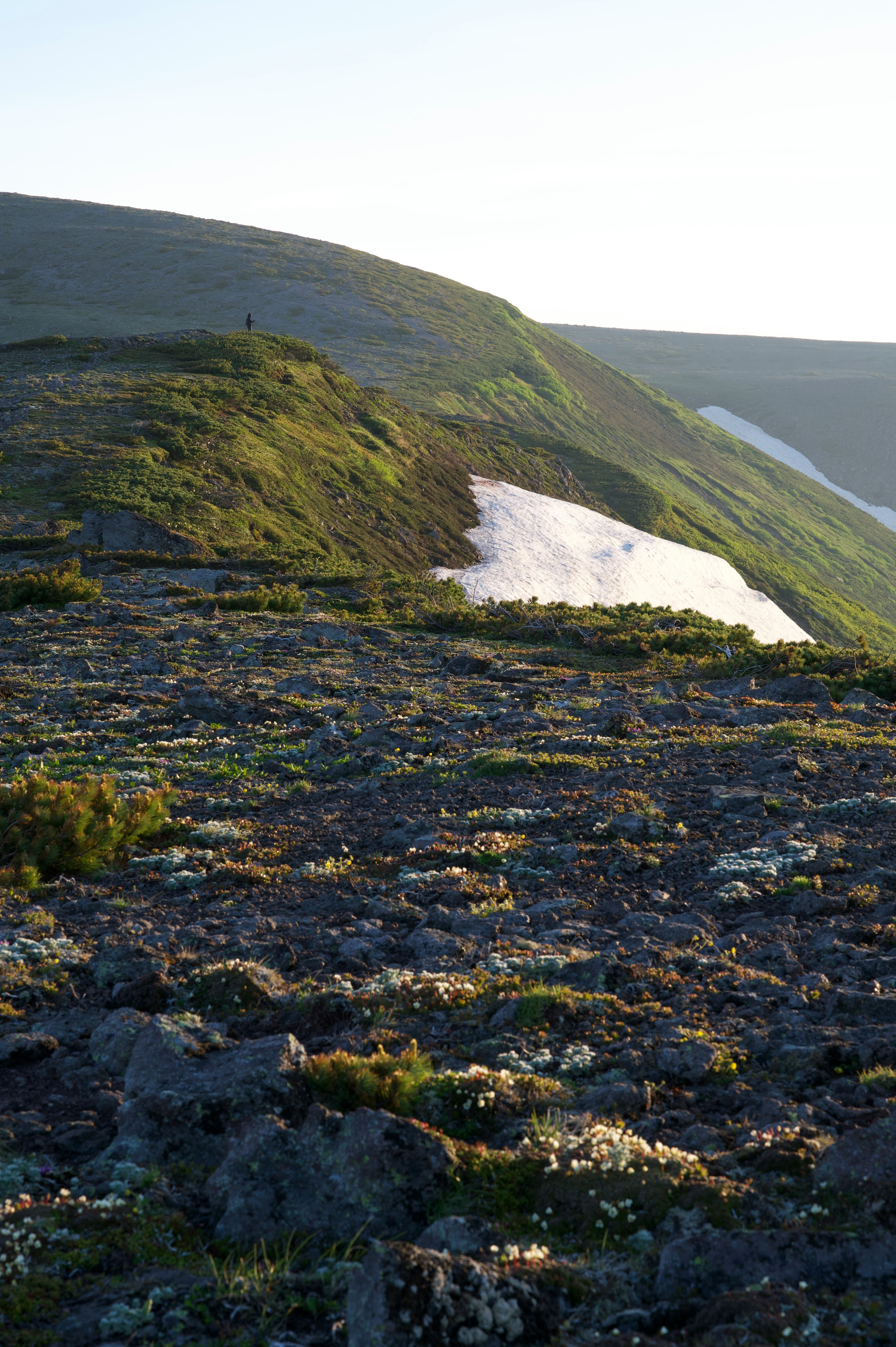 Paysage avec de l'herbe verte et un terrain rocheux avec de la neige restante sur la pente