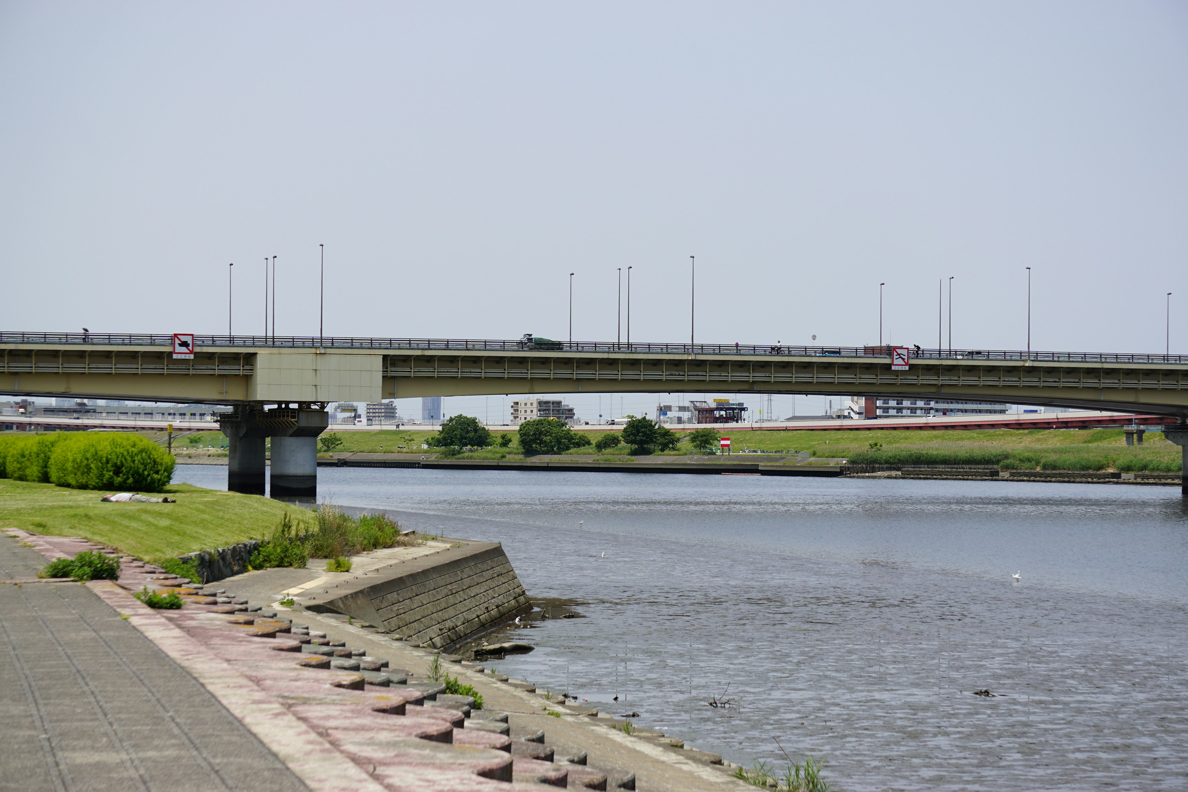 Pemandangan sungai dan jembatan dengan rumput hijau dan permukaan air tenang