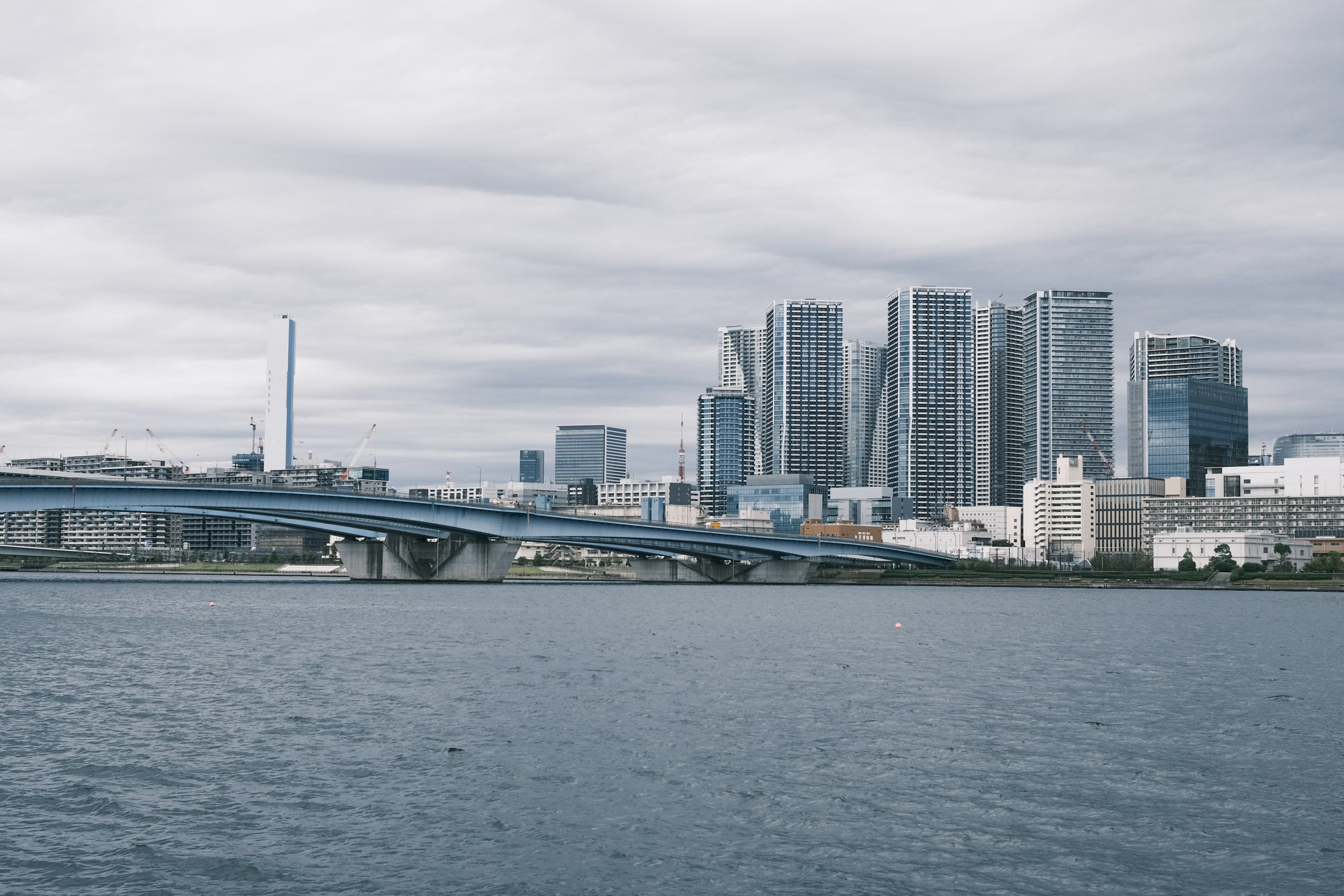 都市の高層ビルと橋が見える水辺の風景