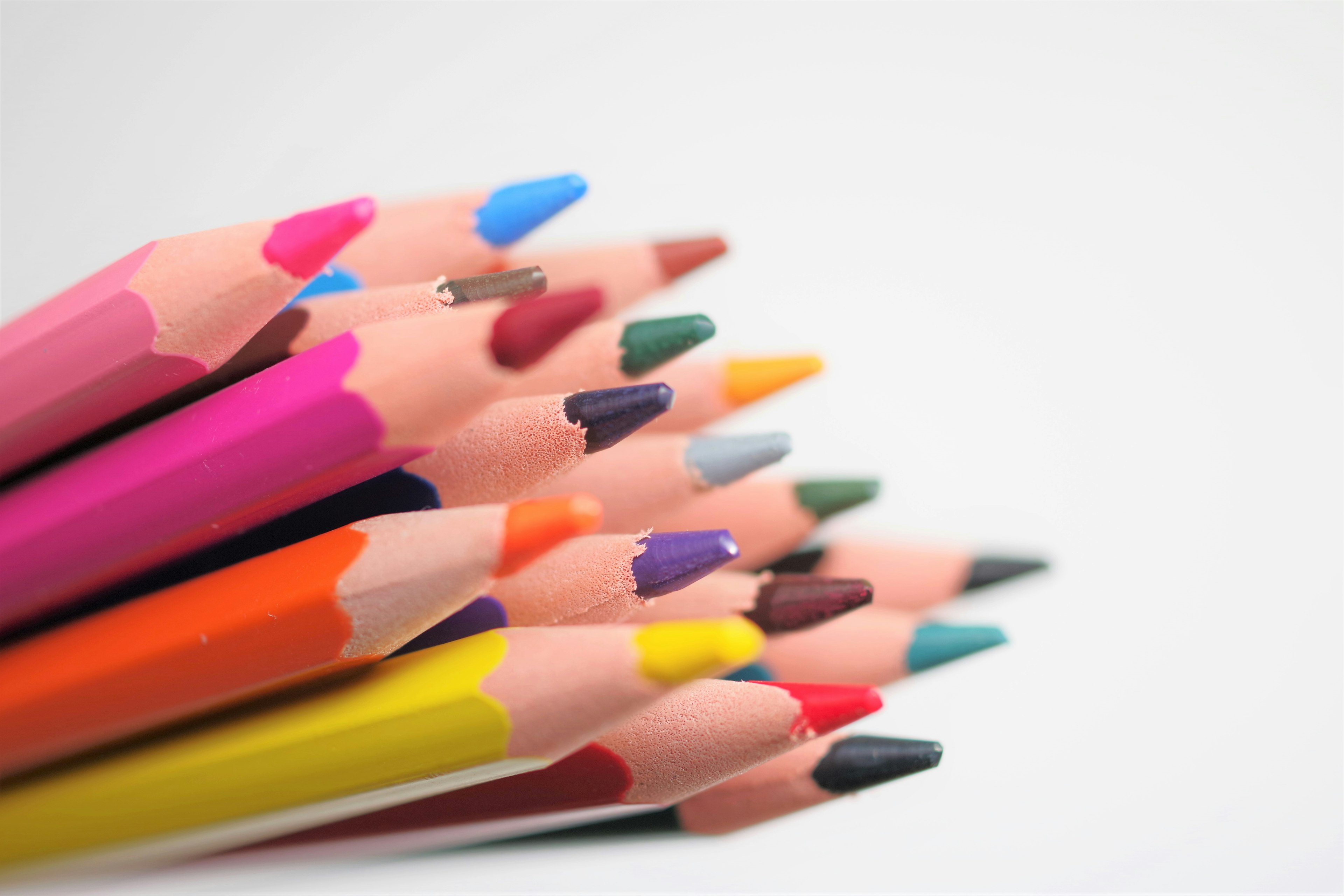 Colorful colored pencils arranged on a white background