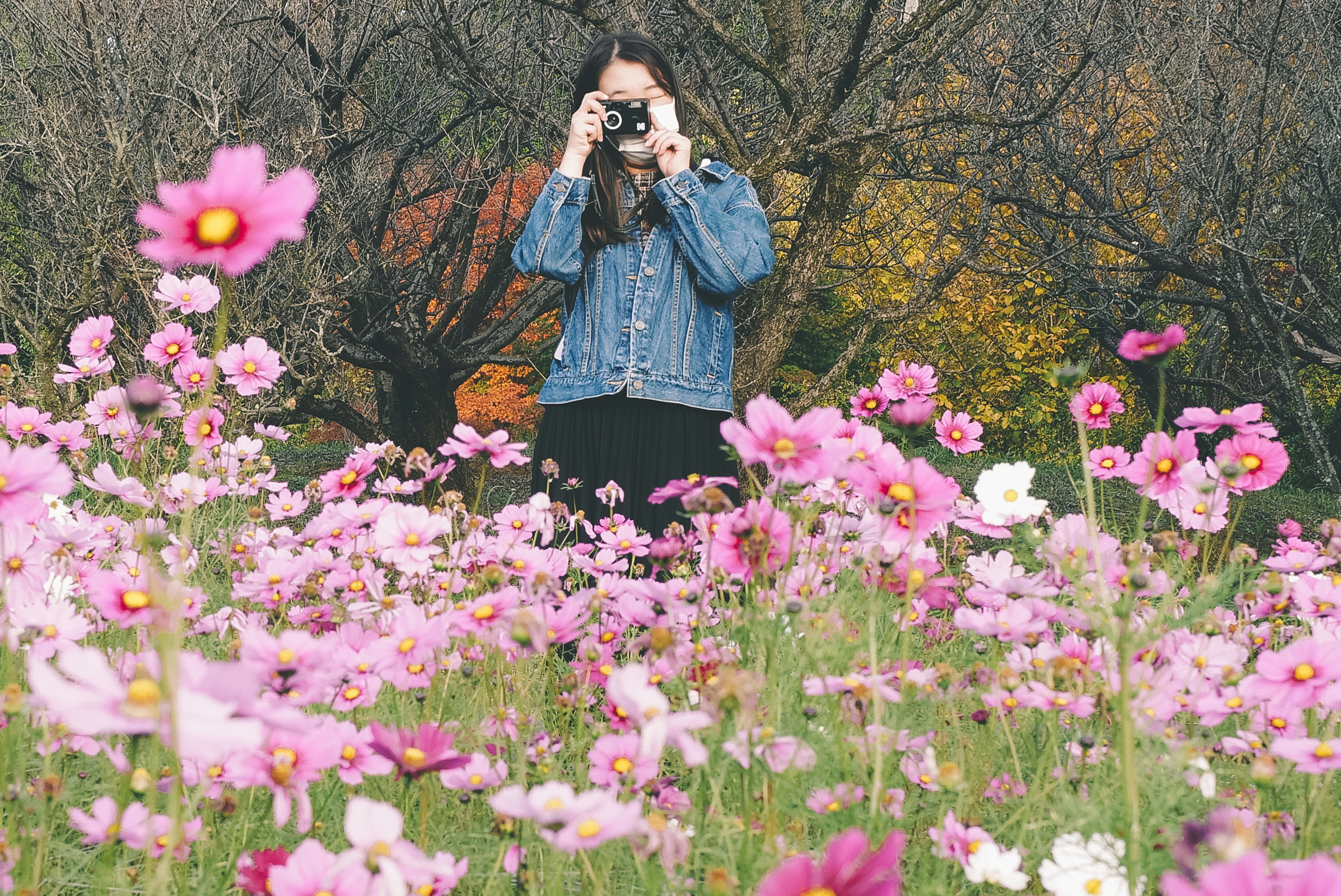 Una donna con una macchina fotografica in un campo di fiori rosa