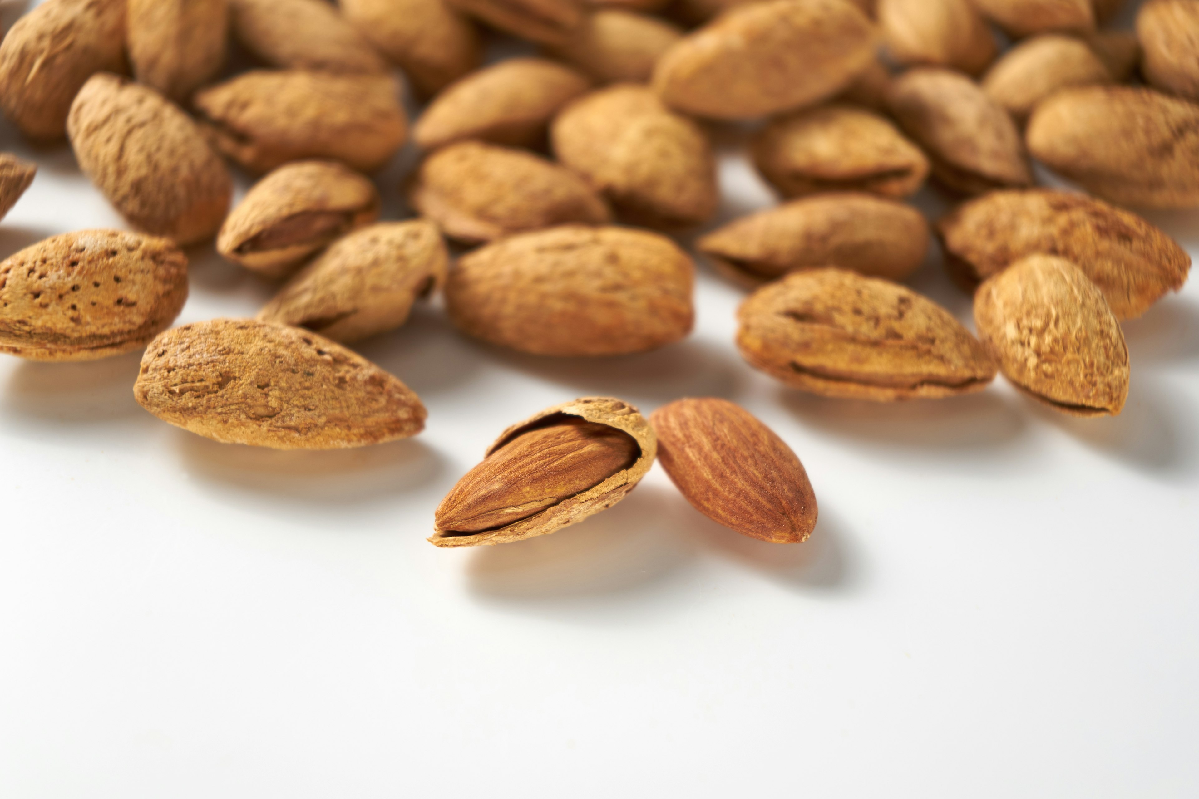 Close-up of almond shells and nuts