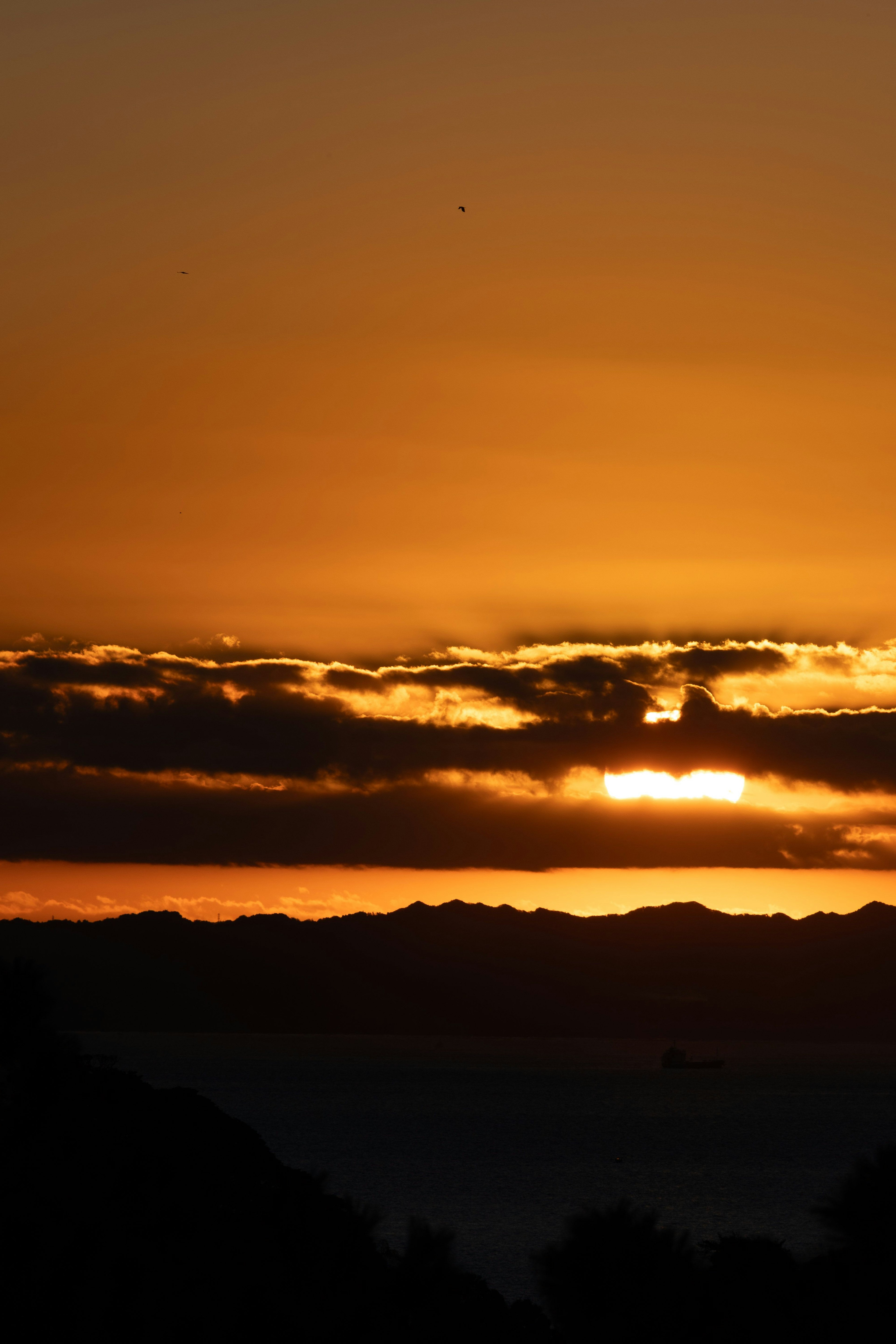夕日が沈む美しい風景 様々なオレンジと黄色の色合い 雲が空を覆っている